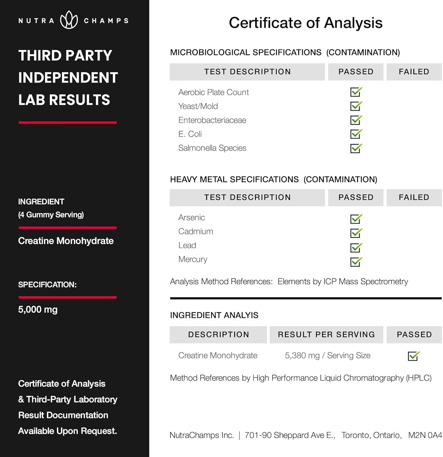 Sugar Free Creatine Gummies for Men & Women - 120 Chewable Monohydrate Gummies - Supports Muscle Recovery & Workout Performance