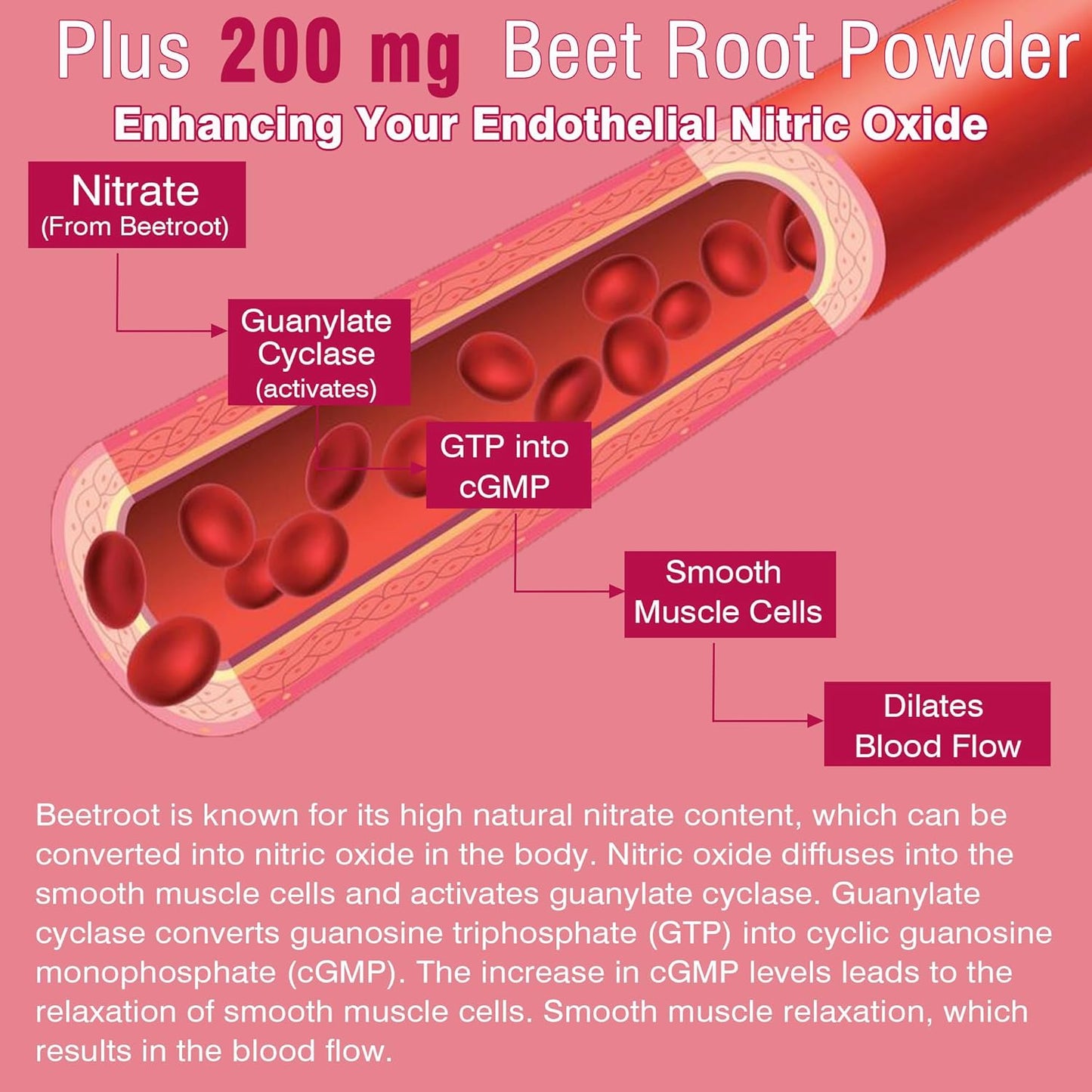 Sugar-Free Iron Gummies with Beet Root, Vitamin C, B12, Folate - Iron Deficiency Support - Non-Constipating - Vegan - 2 Pack