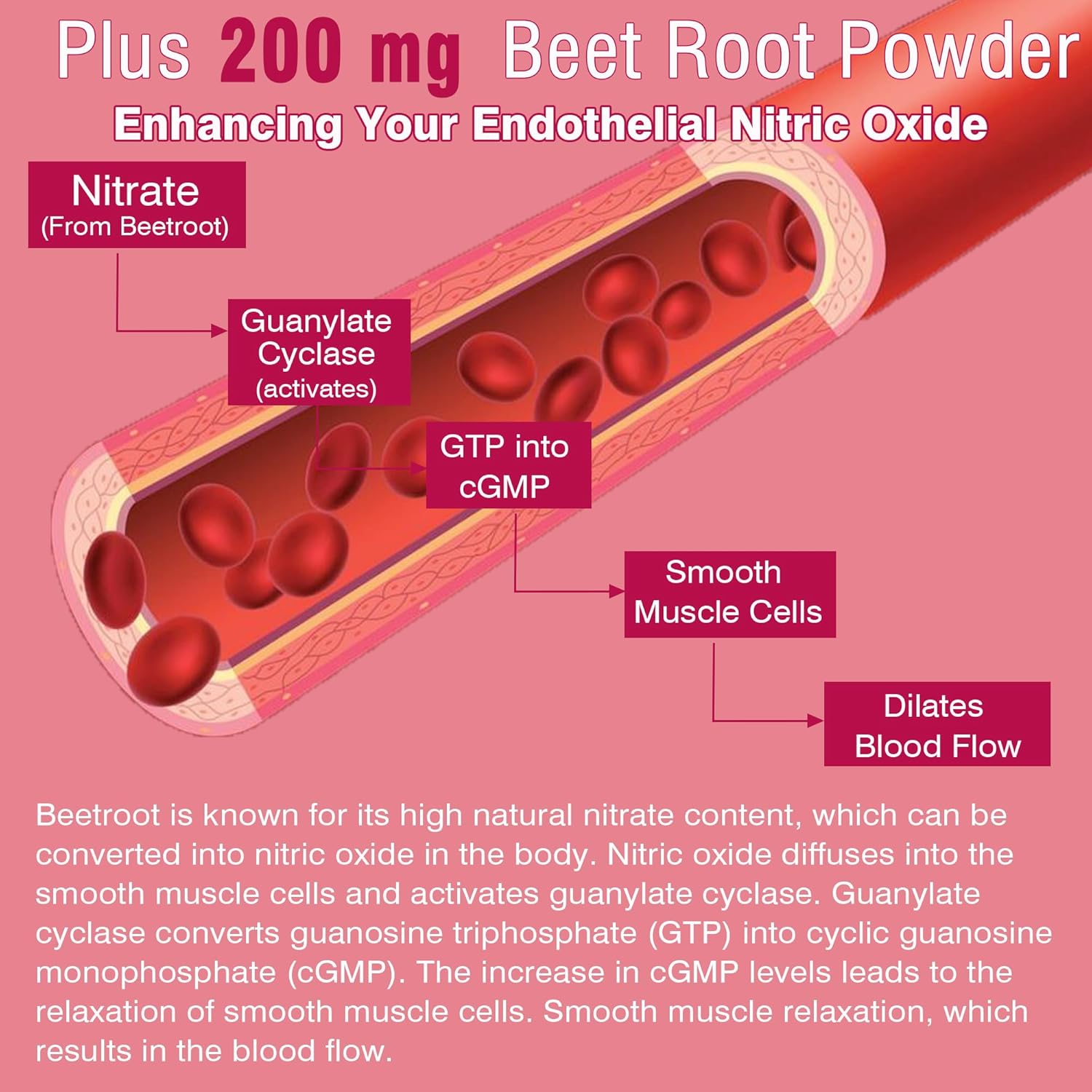 Sugar-Free Iron Gummies with Beet Root, Vitamin C, B12, Folate - Iron Deficiency Support - Non-Constipating - Vegan - 2 Pack