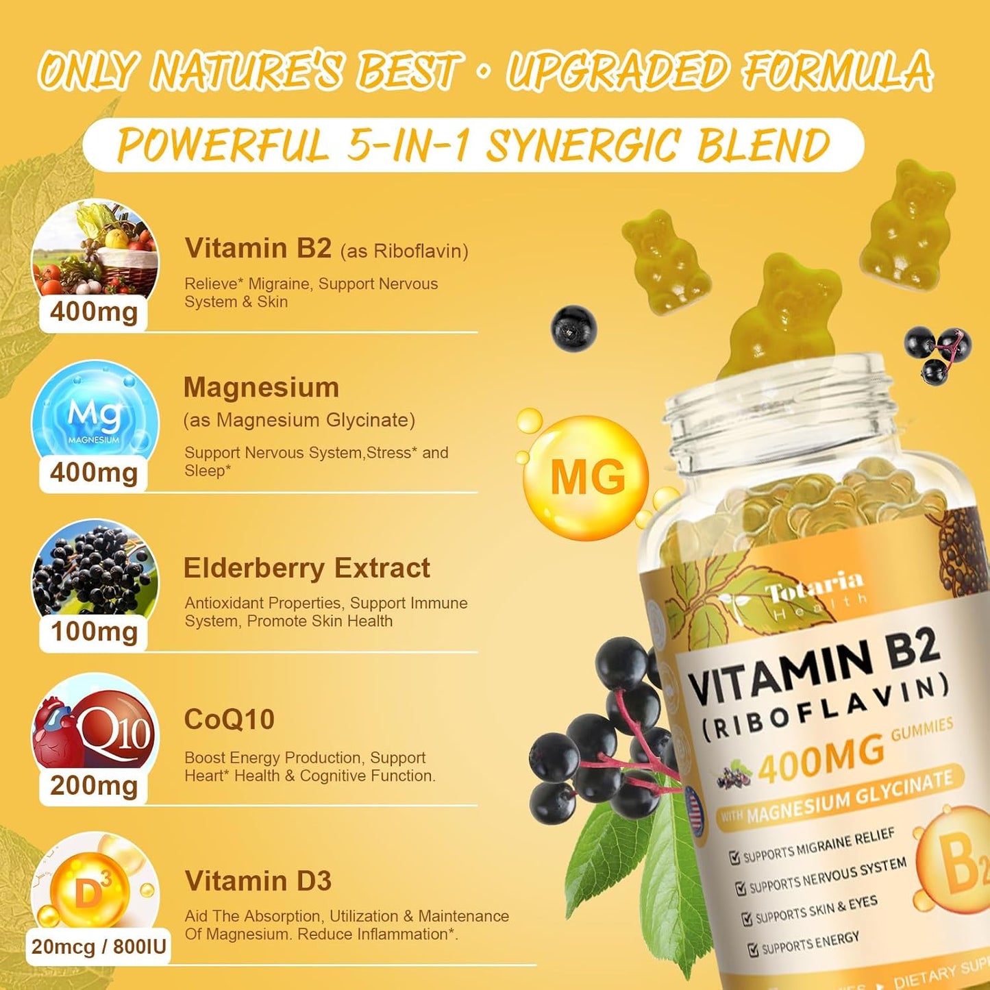 Sugar-Free Vitamin B2 Gummies with Magnesium & Elderberry for Migraine Relief & Nervous System Support, 60 Gummies