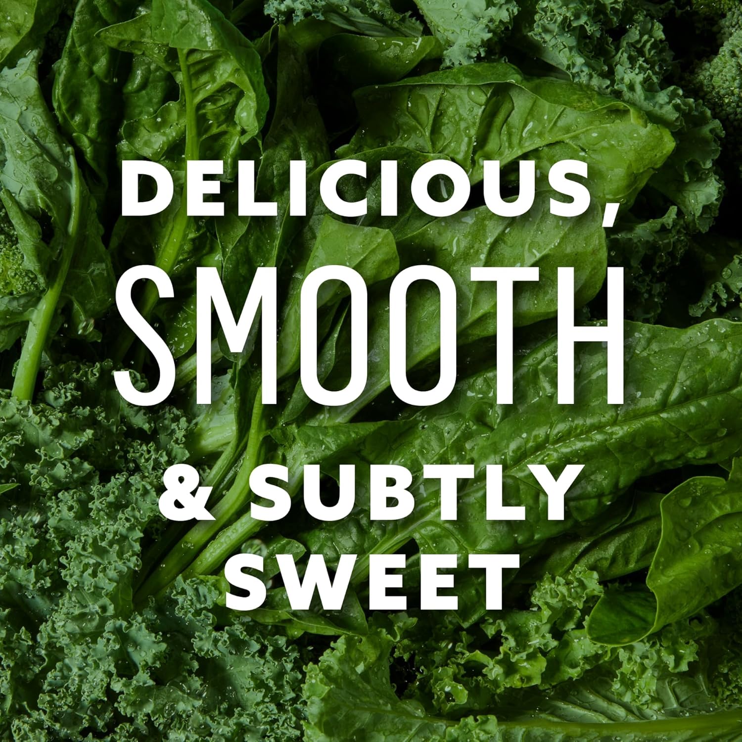 Suja Organic Greens Powder with Probiotic Blend and Spirulina for Immune Support, Digestion, and Energy - Vegan, Gluten Free, Non GMO - 10 Servings