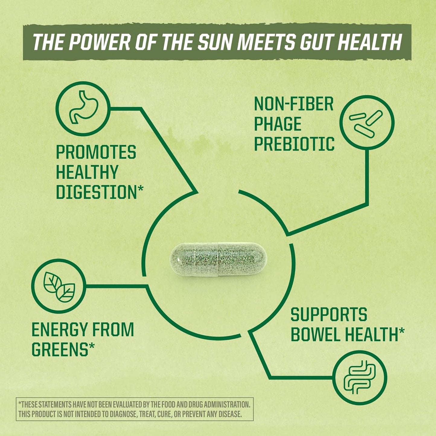Sunwarrior Soil-Based Vegan Probiotic Capsules | 10 Billion CFU for Digestion | Soy, Gluten, Dairy Free | 30 Count