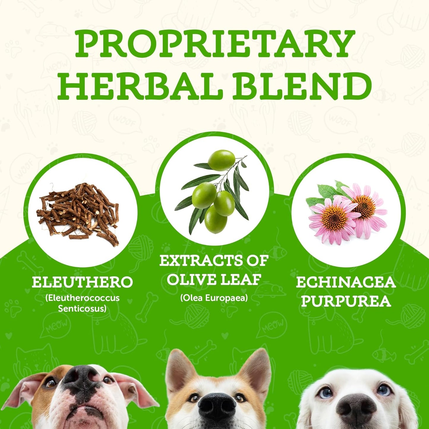 Super Immune Support Supplement for Dogs & Cats - Echinacea, Eleuthero, Olive Leaf Extract - 2 Fl Oz Liquid Drops