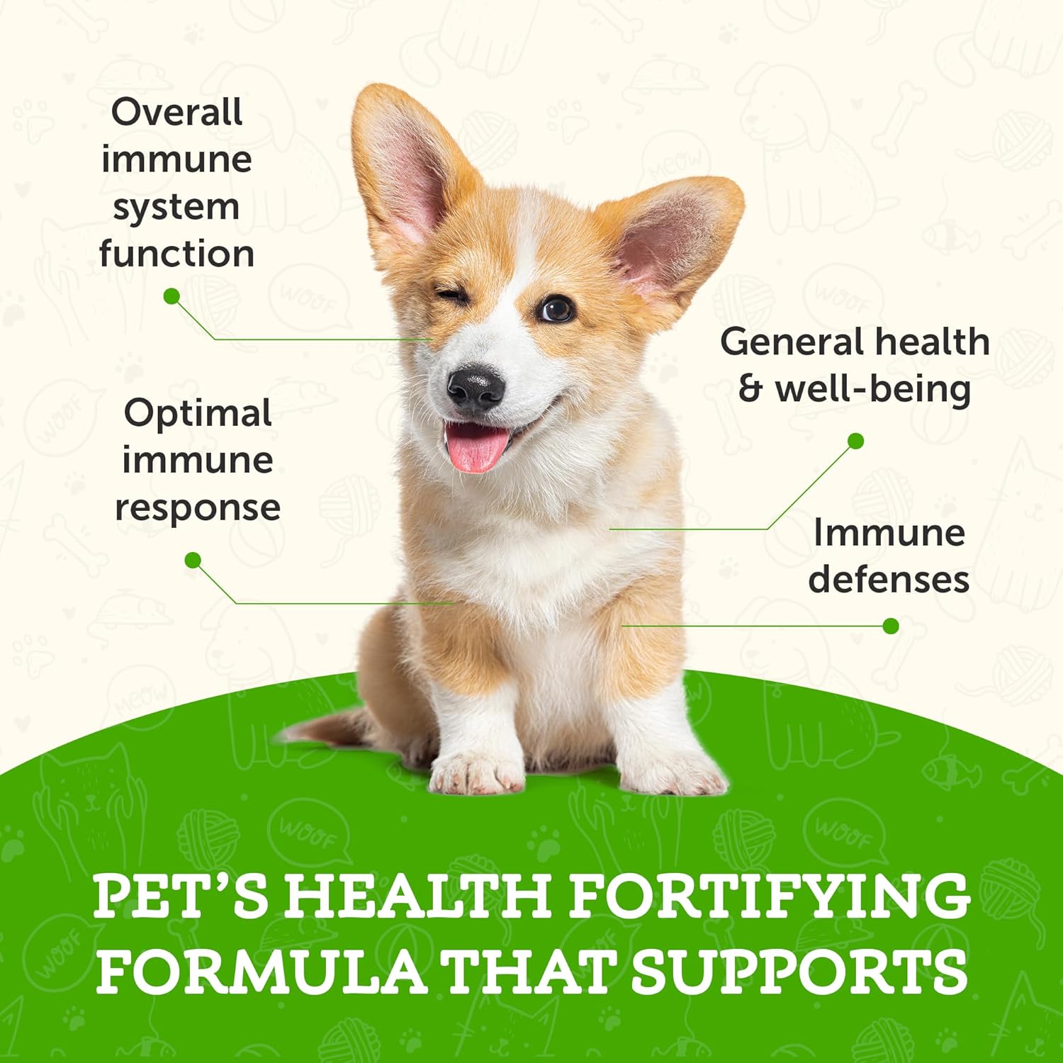 Super Immune Support Supplement for Dogs & Cats - Echinacea, Eleuthero, Olive Leaf Extract - 2 Fl Oz Liquid Drops