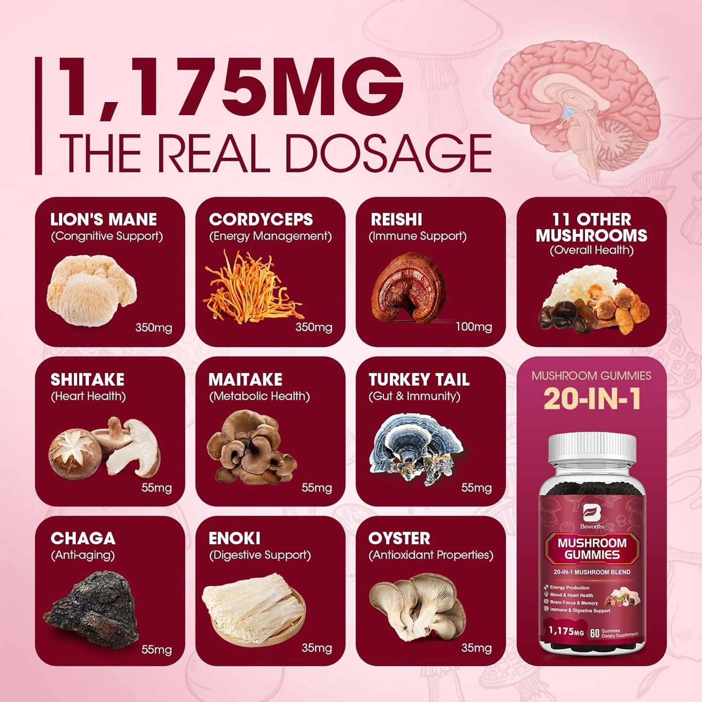 Super Mushroom Complex Gummies with Lion's Mane, Cordyceps, Reishi - Support Brain Health & Focus, Non-GMO, Raspberry Flavor, 60 Gummies
