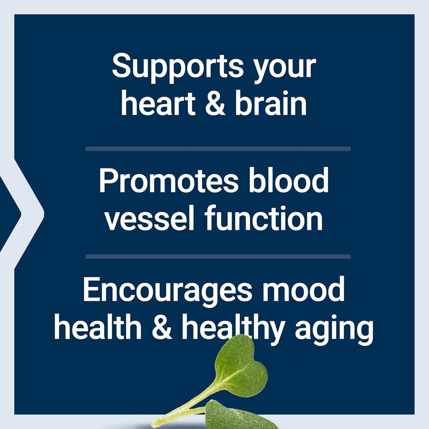 Super Omega-3 Fish Oil with Sesame Lignans & Olive Extract - Heart, Brain, Inflammation, & Cholesterol Support - 60 Softgels