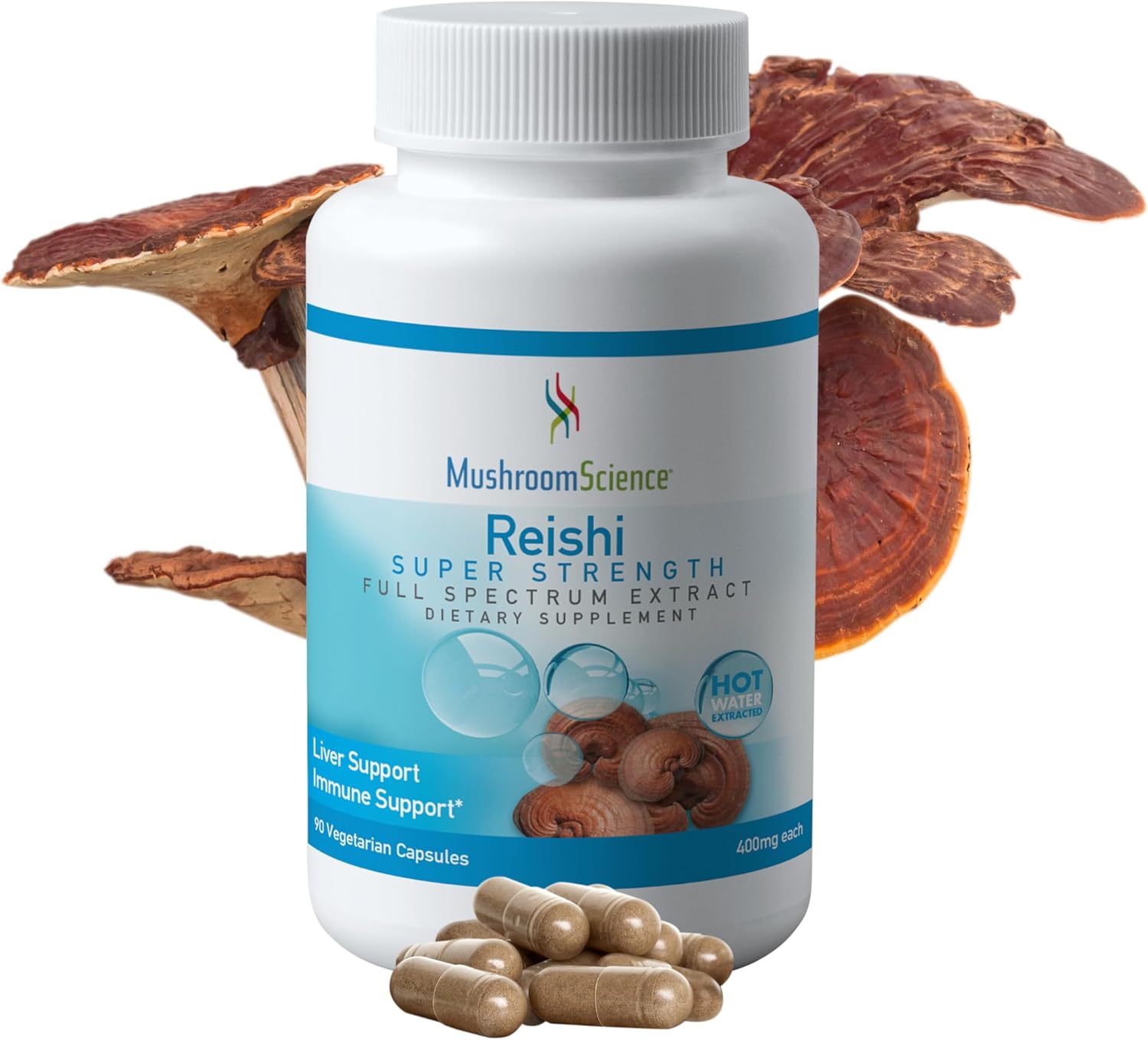 Super Strength Reishi Mushroom Capsules - Natural Supplement for Adults - Full Spectrum Extract - Hot Water Extracted Mushrooms - Health Support - Vegetarian - 400MG, 90 CT