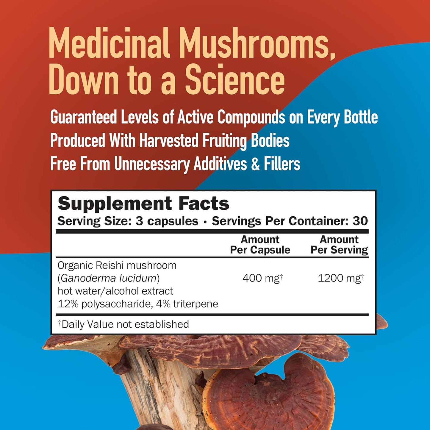 Super Strength Reishi Mushroom Capsules - Natural Supplement for Adults - Full Spectrum Extract - Hot Water Extracted Mushrooms - Health Support - Vegetarian - 400MG, 90 CT