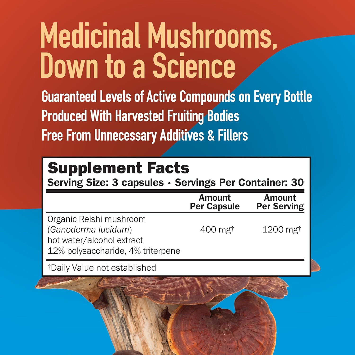 Super Strength Reishi Mushroom Capsules - Natural Supplement for Adults - Full Spectrum Extract - Hot Water Extracted Mushrooms - Health Support - Vegetarian - 400MG, 90 CT