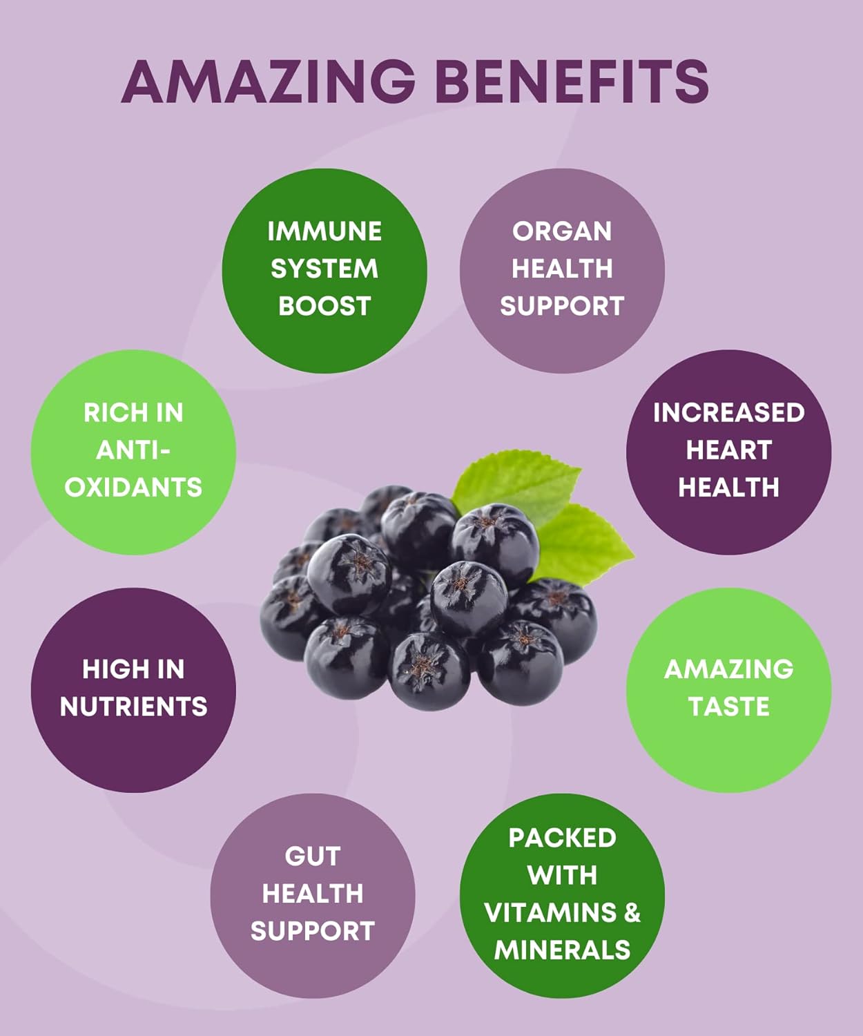 SuperBerry Aronia Gummies - Immune Support with Antioxidants, Better than Elderberry, Natural Berry Flavor - 60 Count