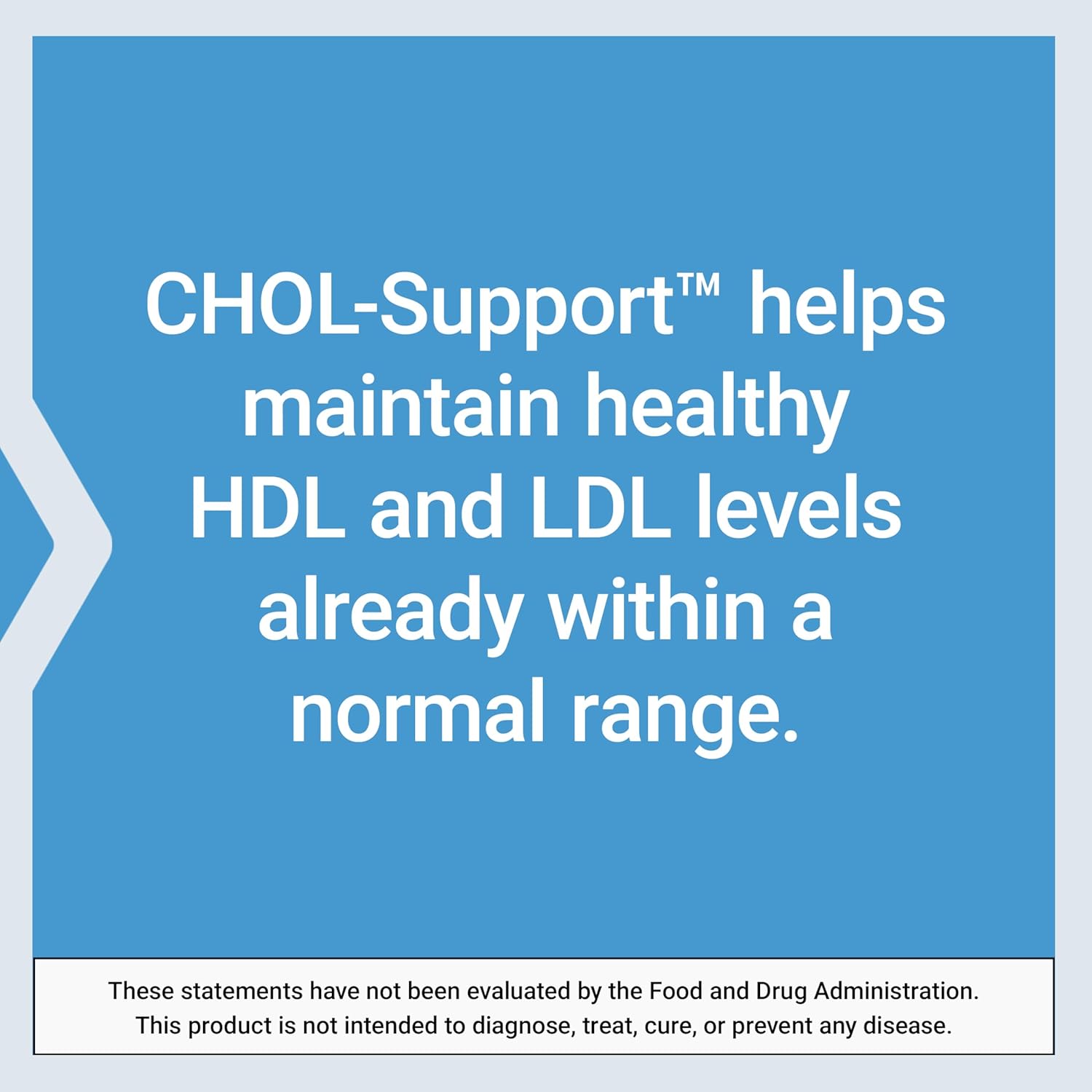 Support Healthy Cholesterol Levels with Artichoke Leaf Extract and Vitamin B5 - 60 Capsules, Gluten-Free & Non-GMO