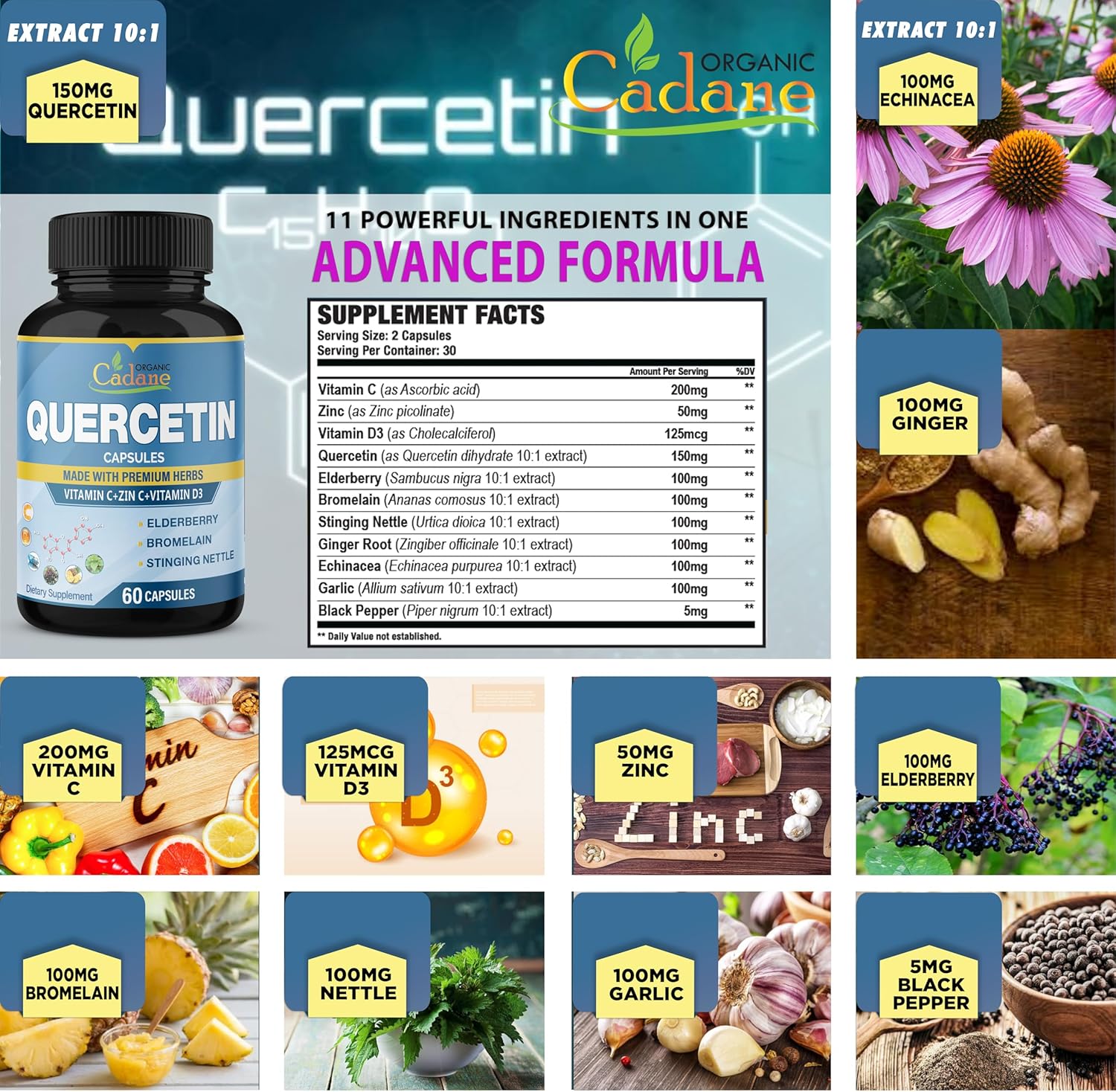 Support Immune System with Organic Cadane Quercetin Extract Capsules - 3 Packs, 60 Capsules Each - Enhanced with Elderberry, Bromelain, Ginger, Echinacea - 3 Month Supply