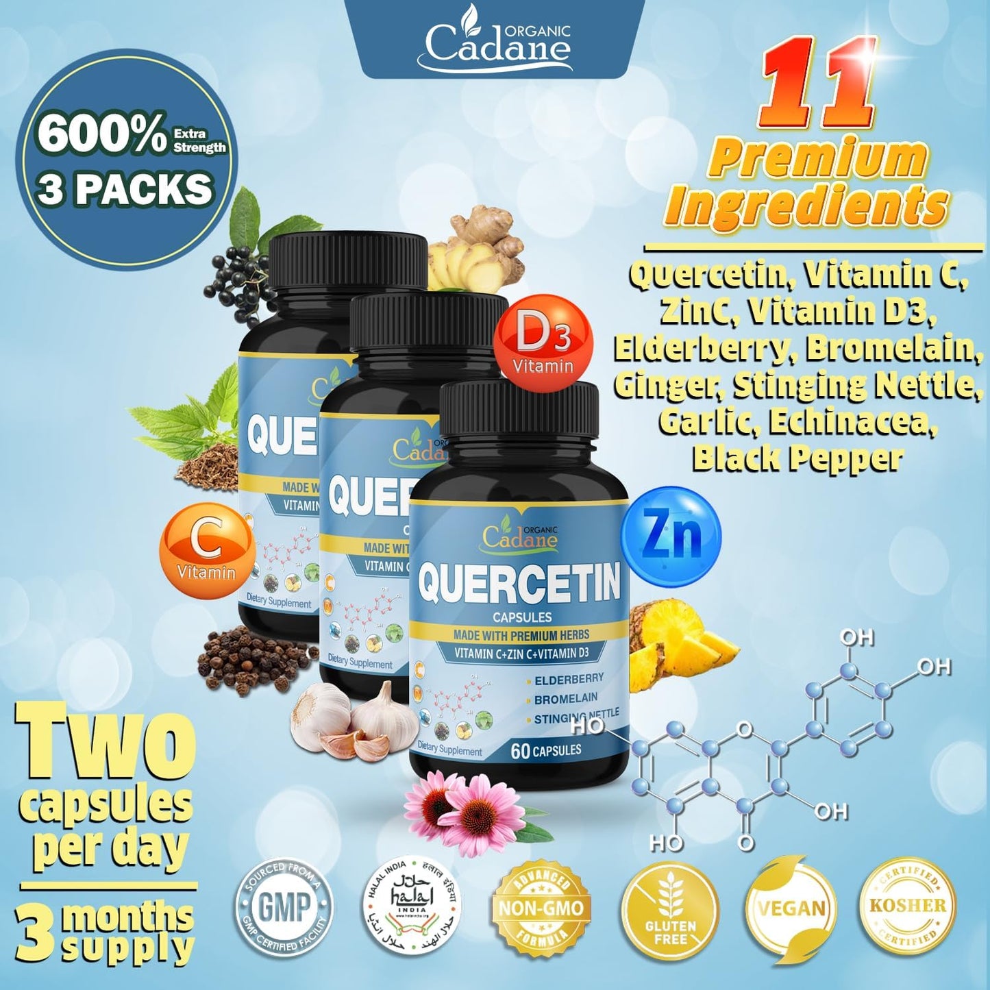Support Immune System with Organic Cadane Quercetin Extract Capsules - 3 Packs, 60 Capsules Each - Enhanced with Elderberry, Bromelain, Ginger, Echinacea - 3 Month Supply