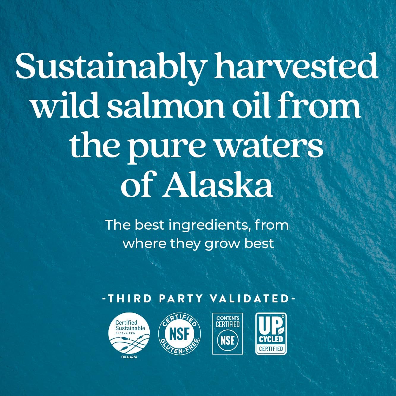 Sustainably Caught Wild Alaskan Salmon Oil with Omega-3, Vitamin D3, and Astaxanthin - 180 ct 500mg Softgels by New Chapter Wholemega