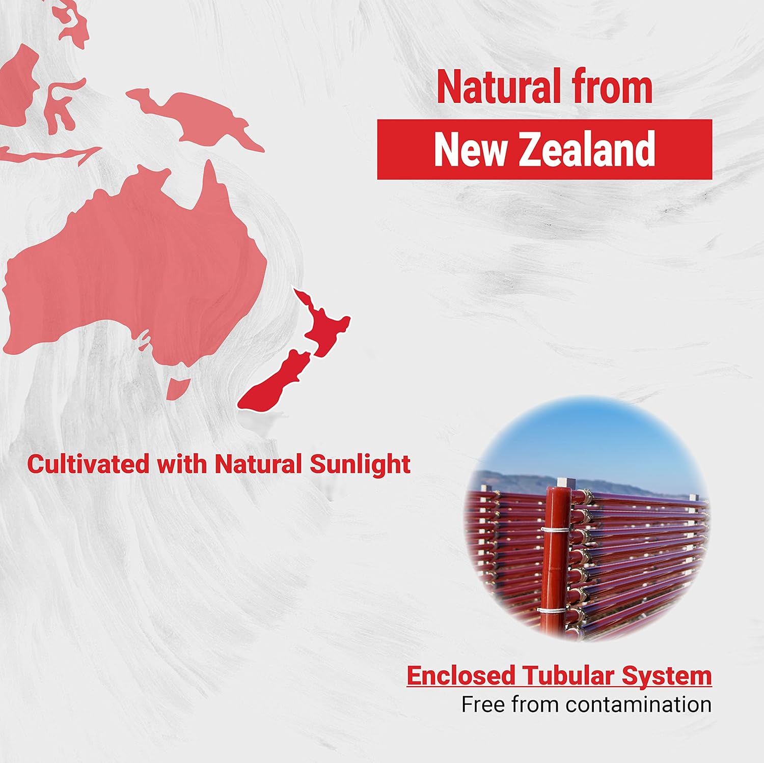Sustainably Grown Naturalis New Zealand Astaxanthin Softgels - Non-GMO, Soy & Gluten Free - 180 Count
