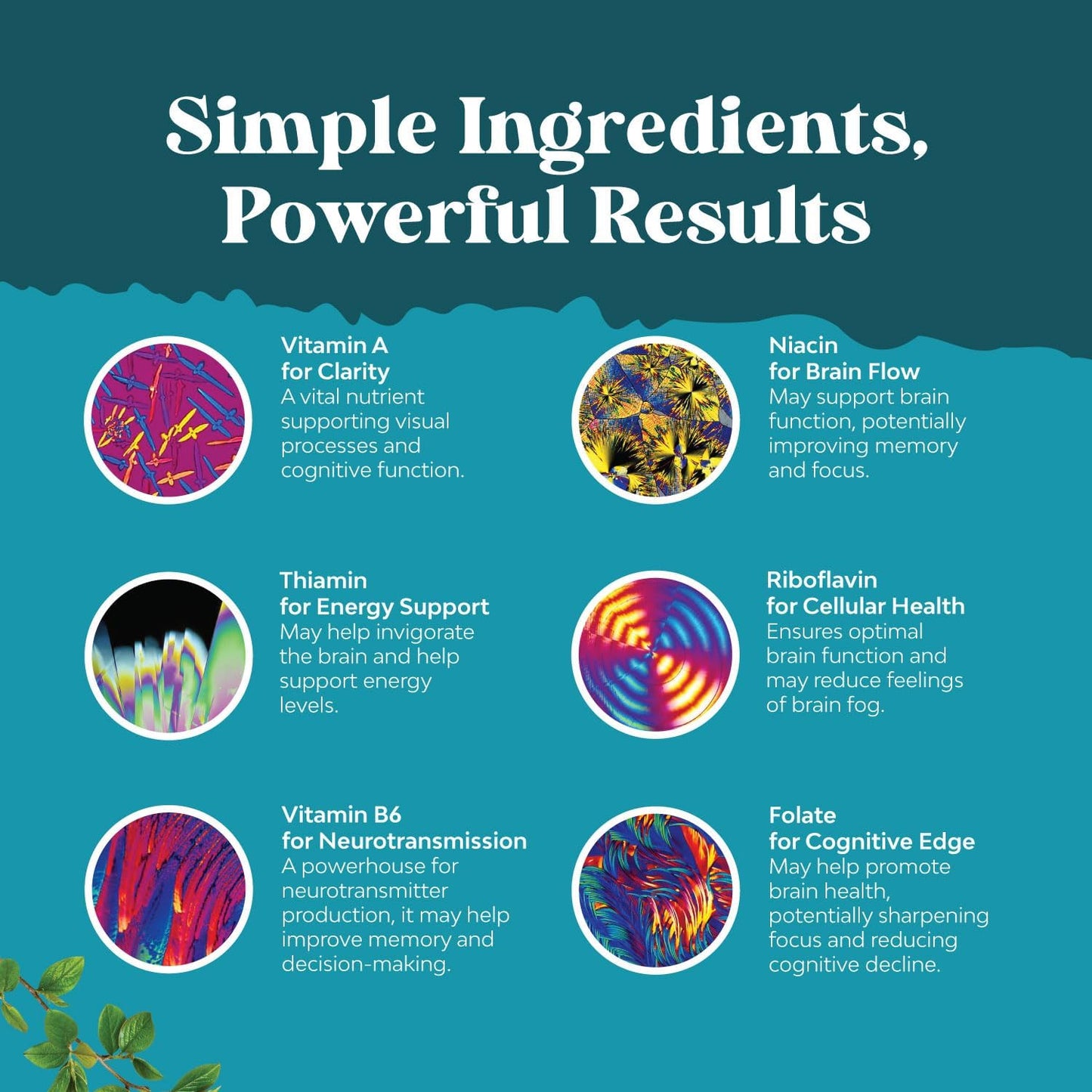 Synergetic Brain Support Supplement with Nootropics, Brain Vitamins for Cognitive Enhancement, and Memory Boost - Natural Mind and Energy Enhancer (30 Servings)