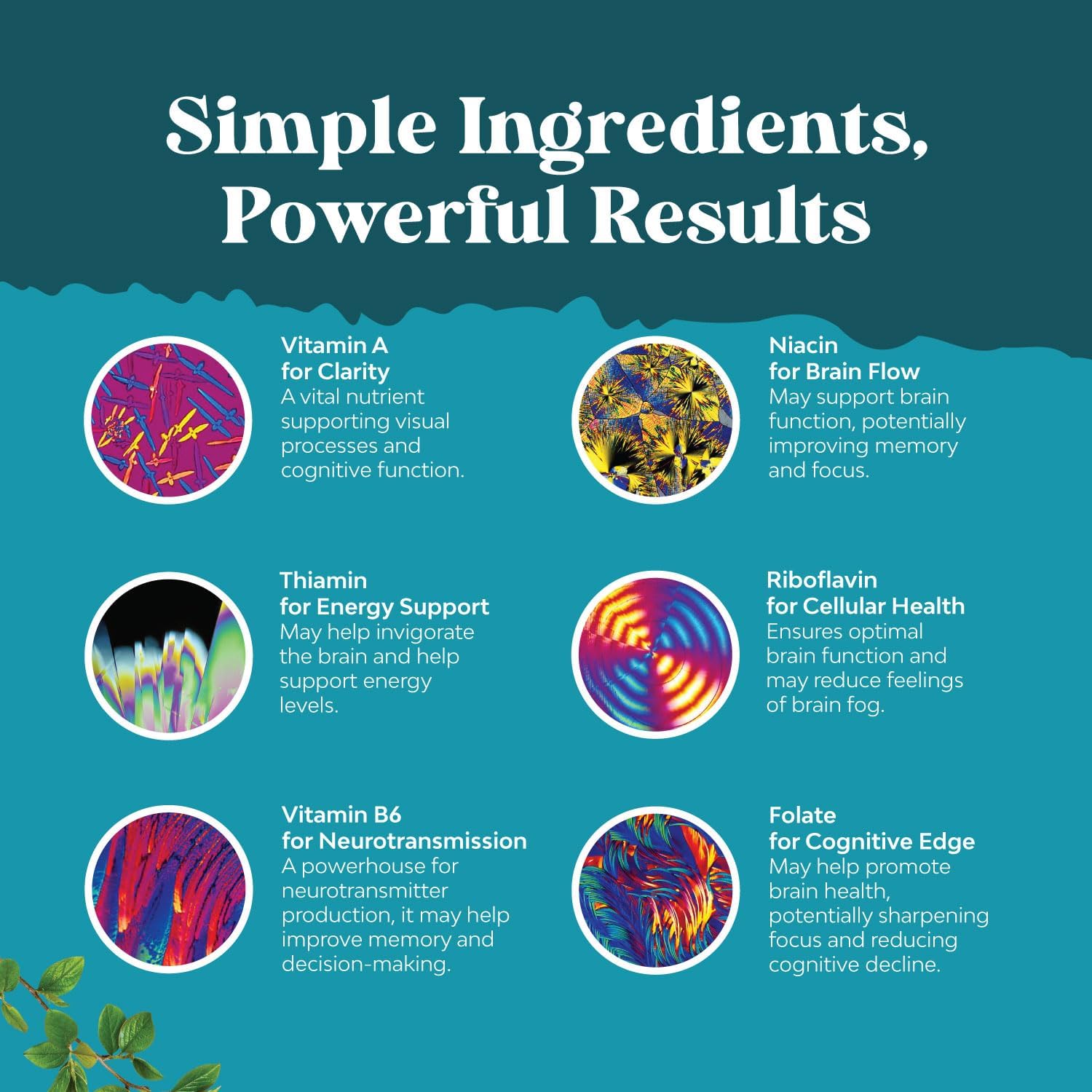 Synergetic Brain Support Supplement with Nootropics, Brain Vitamins for Cognitive Enhancement, and Memory Boost - Natural Mind and Energy Enhancer (30 Servings)