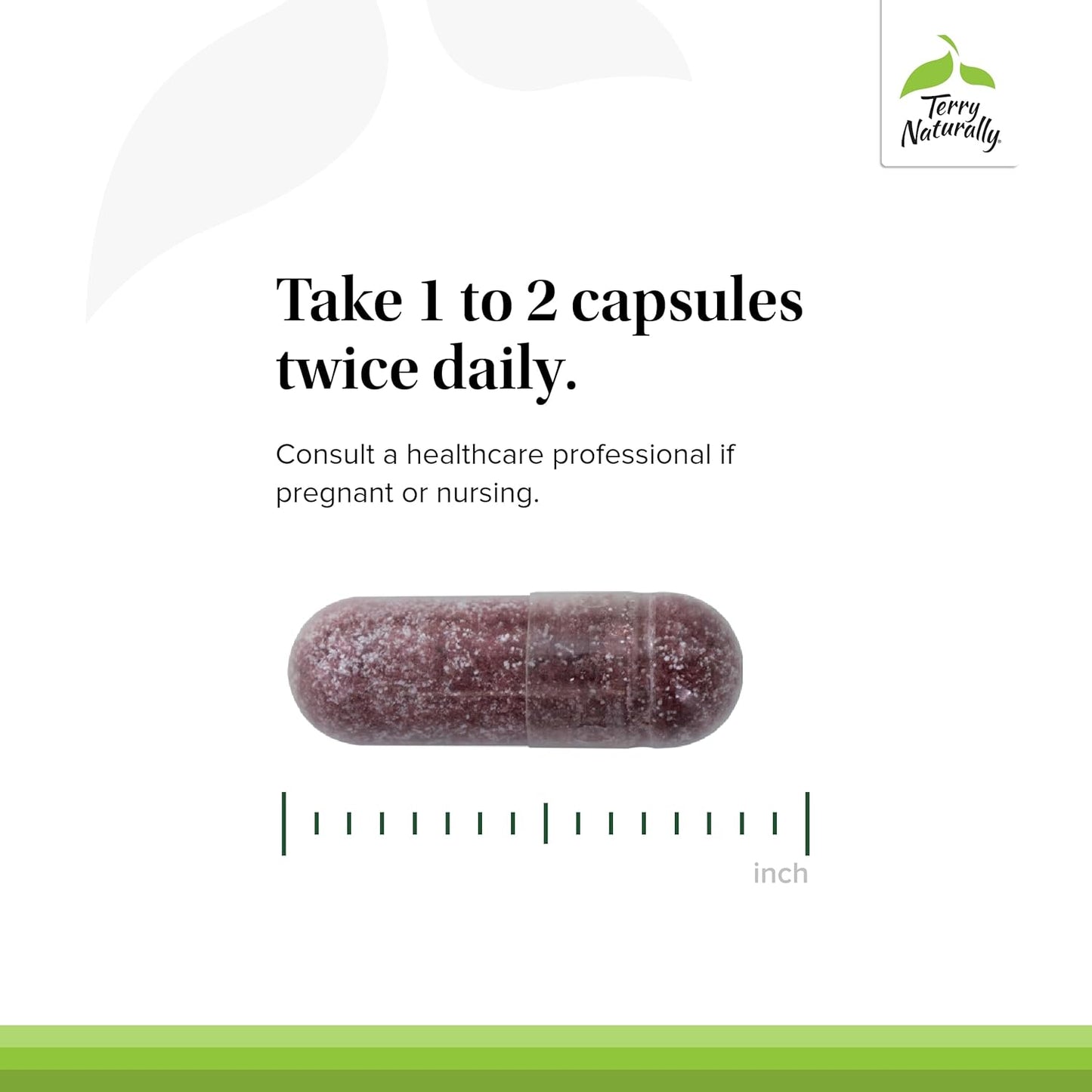 Tart Cherry Antioxidant Supplement for Joint Health & Uric Acid Balance - 120 Capsules