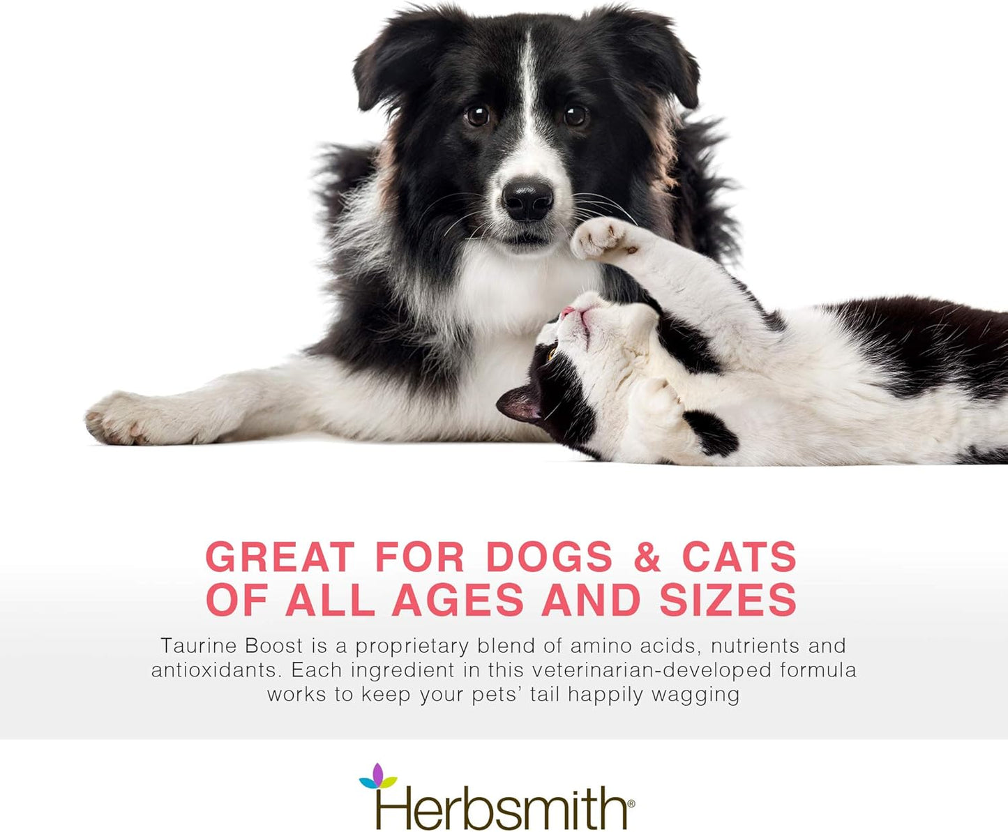 Taurine Boost Supplement for Dogs and Cats - Supports Cardiac Health with CoQ10, L-Carnitine - 75g