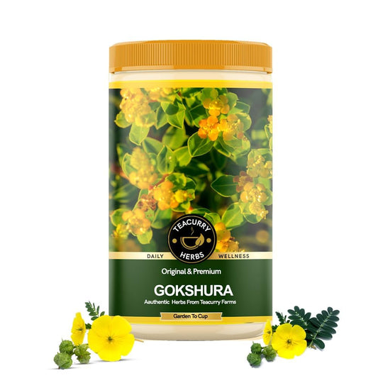 TEACURRY Chota Gokhru (125g) - Boost Energy, Support Kidney Wellness, Promote Overall Well-Being - Gokshura Supplement