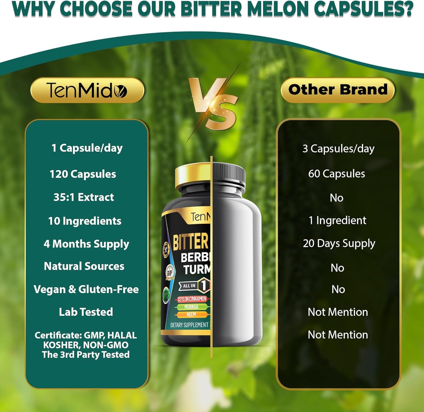 Tenmido Bitter Melon 10in1 Supplement with Berberine, Ceylon Cinnamon, Turmeric, Moringa, Neem, Ginger, Gotu Kola, Artichoke, Black Pepper - 120 Capsules (4 Months Supply)