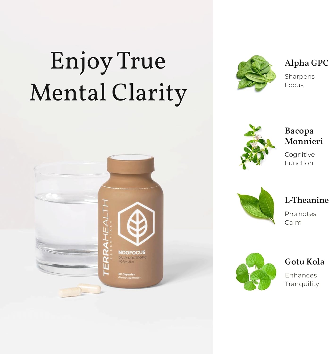 Terra Health NOOFOCUS Nootropic Brain Support Supplement with Adaptogenic Mushrooms, Alpha-GPC, Gotu Kola, L-Theanine - Natural Focus & Memory Boost, 30 Day Supply