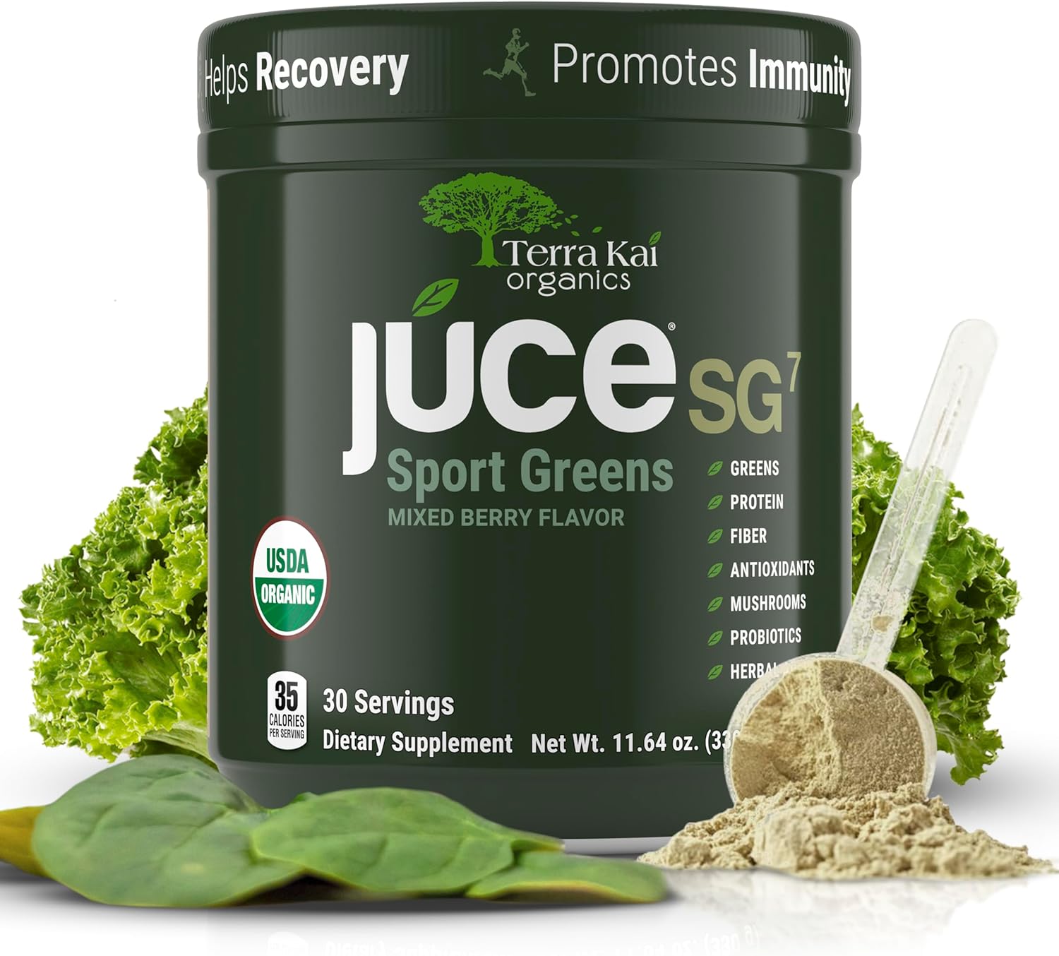 Terra Kai Organics Mixed Berry Green Juice Powder with Probiotics and Mushrooms - Organic Plant Based Protein Supplement for Sport and Wellness, 30 Servings