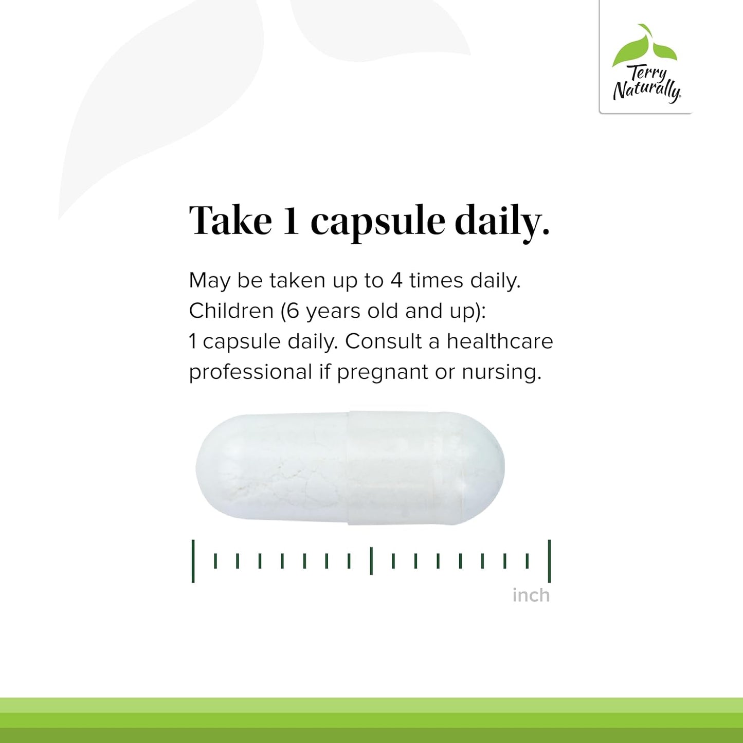 Terry Naturally BioActive Magnesium Complex 240 Capsules - Vitamin B6 & Zinc - Non-GMO, Vegan, Gluten Free - 240 Servings