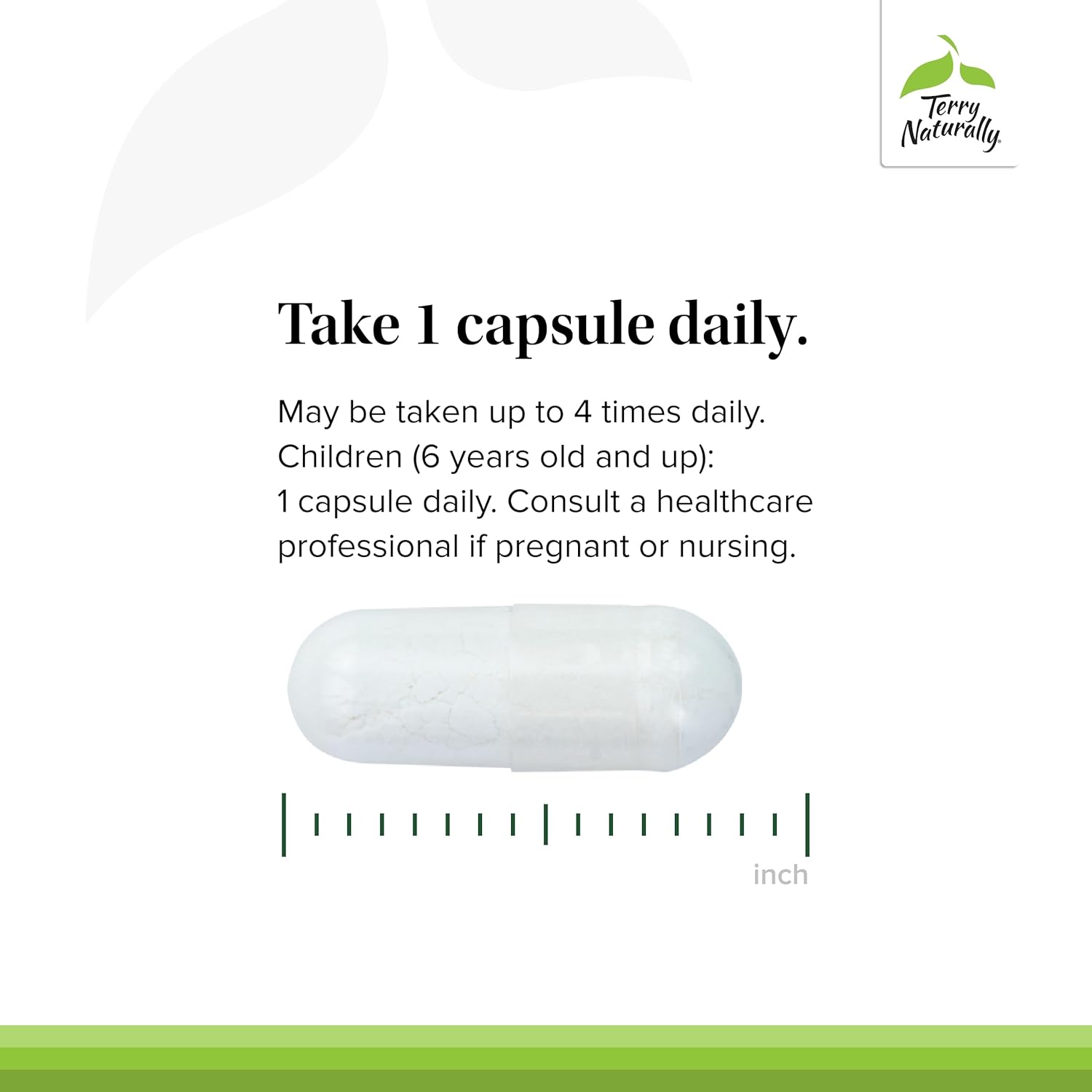 Terry Naturally BioActive Magnesium Complex 240 Capsules - Vitamin B6 & Zinc - Non-GMO, Vegan, Gluten Free - 240 Servings