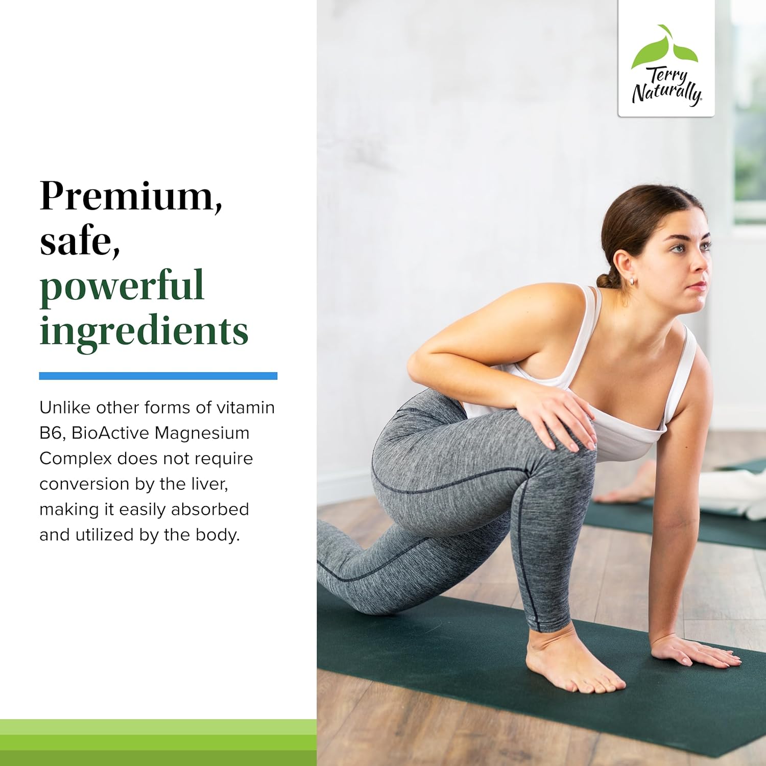 Terry Naturally BioActive Magnesium Complex 240 Capsules - Vitamin B6 & Zinc - Non-GMO, Vegan, Gluten Free - 240 Servings