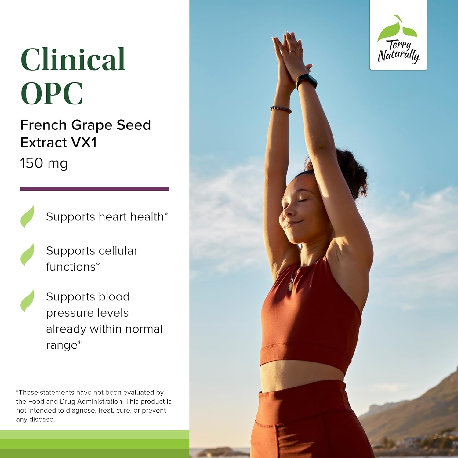 Terry Naturally Clinical OPC 150 mg French Grape Seed Extract Capsules - Antioxidant Supplement - Non-GMO, Gluten Free - 60 Servings