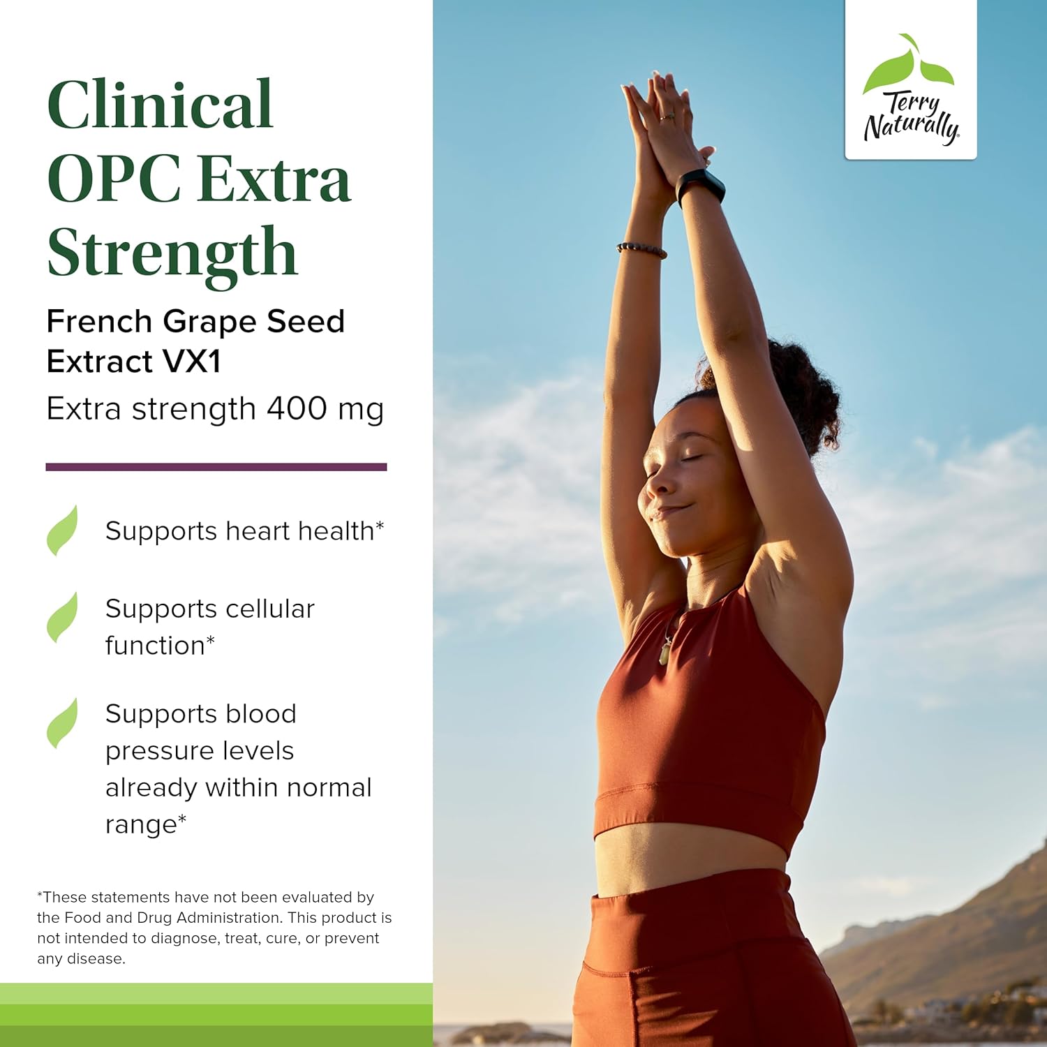 Terry Naturally Clinical OPC Extra Strength Softgels - 2 Pack, 60 Count - 400mg French Grape Seed Extract - Antioxidant Supplement - Non-GMO, Gluten Free - 120 Servings