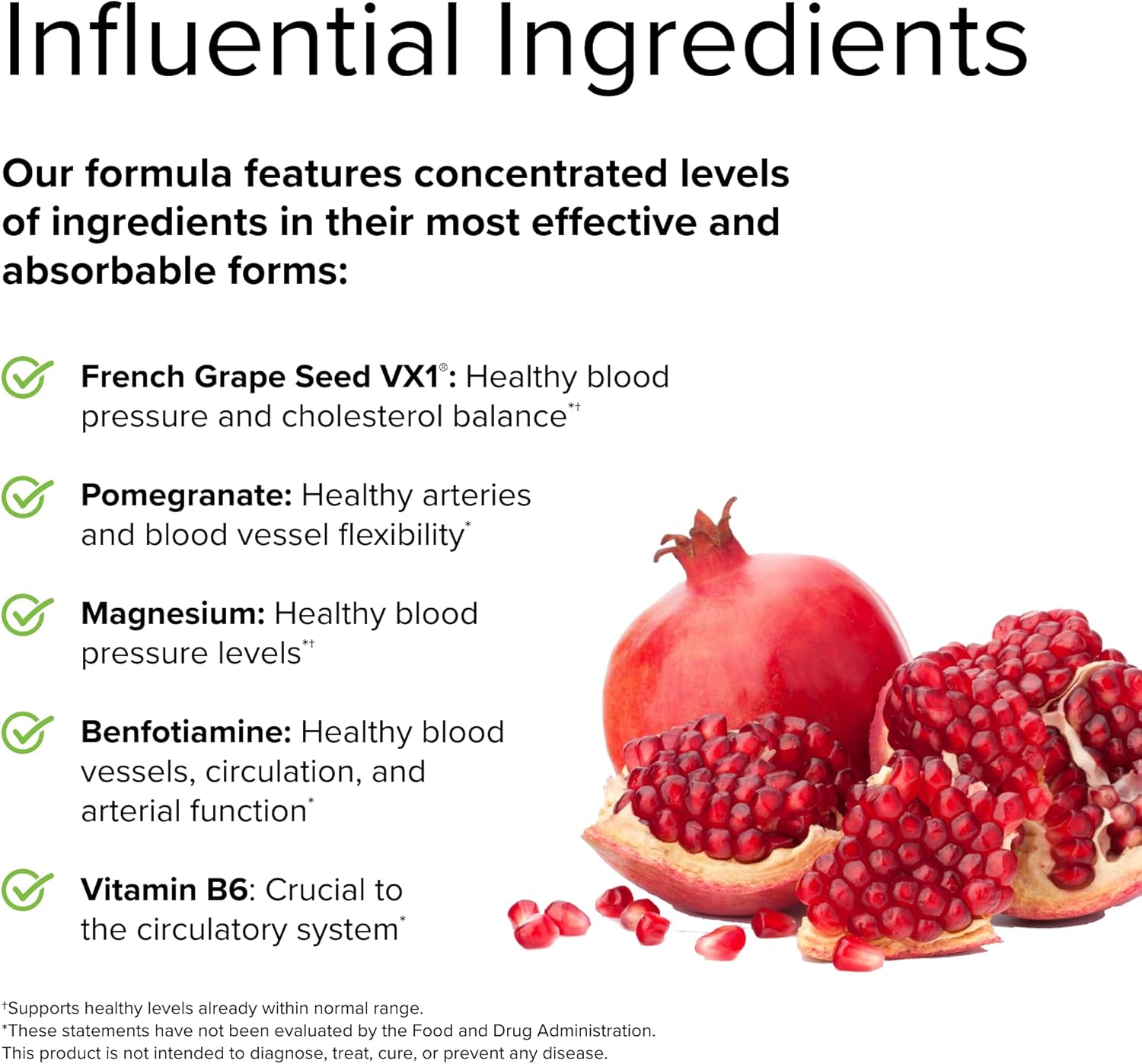 Terry Naturally Clinical OPC Heart Capsules - French Grape Seed Complex - Non-GMO, Vegan, Gluten Free - 60 Count