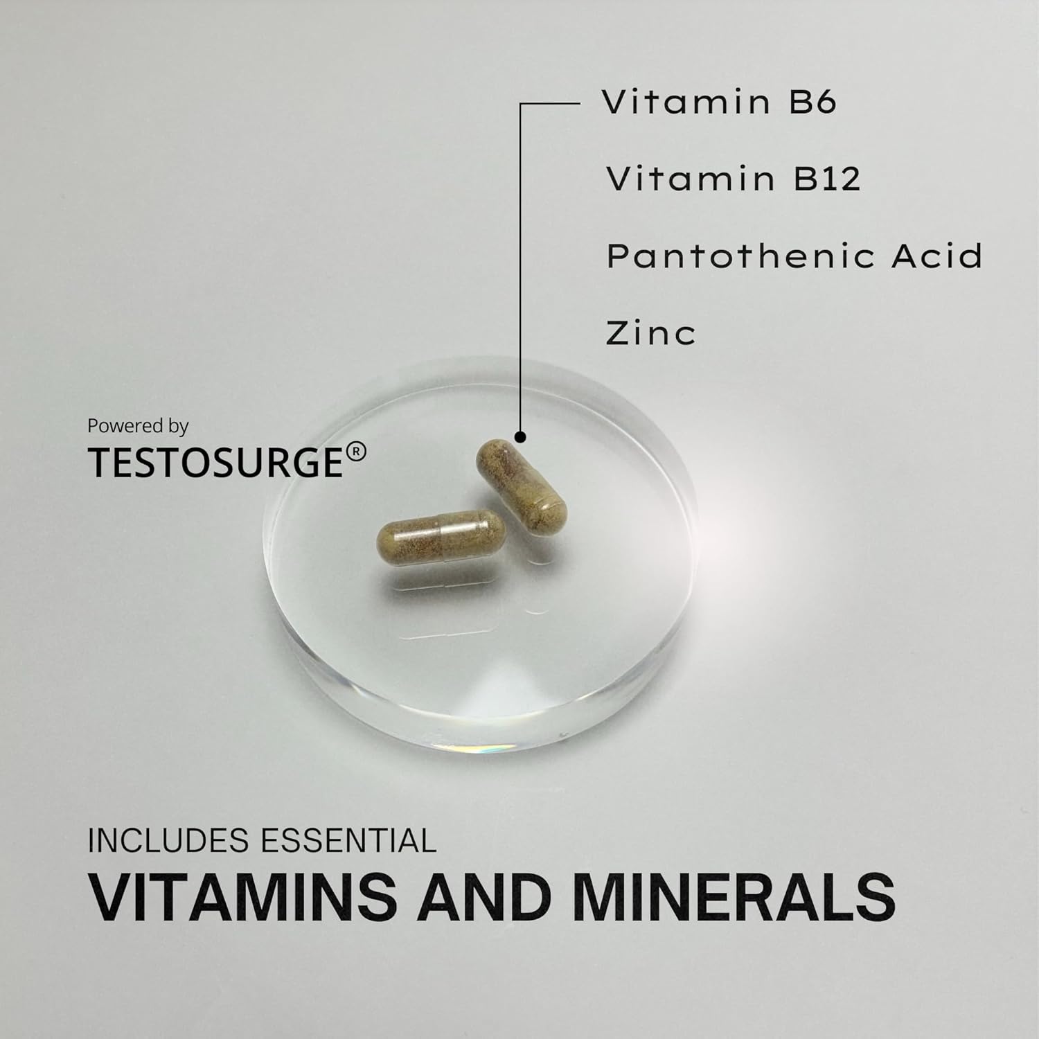 Testosurge Strength & Stamina Enhancer - Vegan & Gluten-Free with Fenugreek Seed Extract, Vitamin B6, B12, Zinc, Rhodiola - 60 Servings