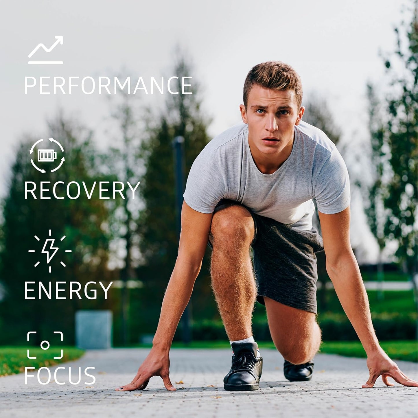 TheaFit™ Powered N1 Nutrition Premium Black Tea Extract Capsules (40% Theaflavins) for Enhanced Exercise Performance and Recovery - 90 Veg Caps