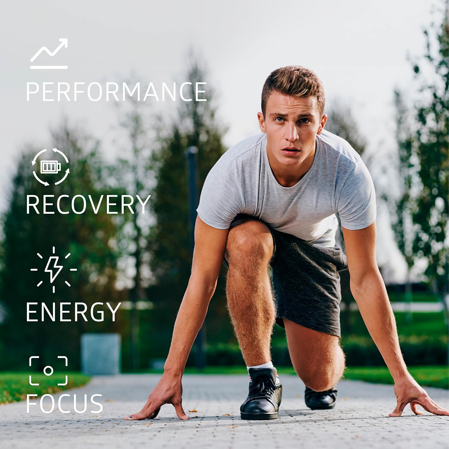 TheaFit™ Powered N1 Nutrition Premium Black Tea Extract Capsules (40% Theaflavins) for Enhanced Exercise Performance and Recovery - 90 Veg Caps