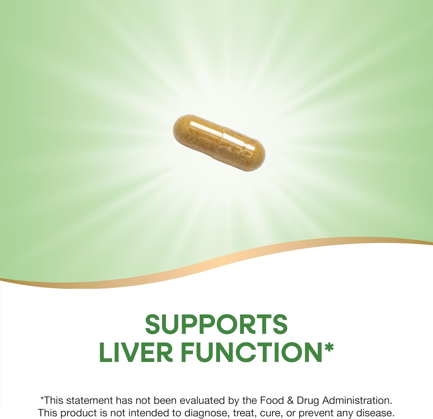 Thisilyn Milk Thistle Extract Capsules - Supports Liver Function, Vegan, 100ct