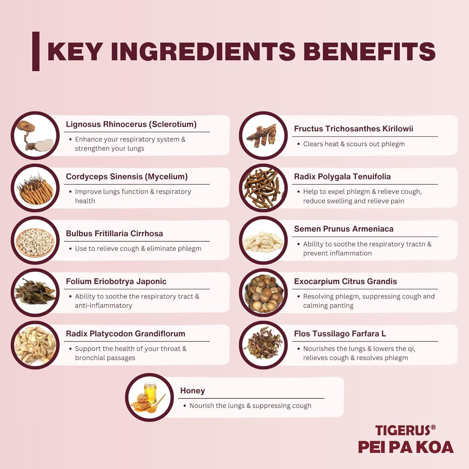 TIGERUS Pei Pa Koa Sachets with Tiger Milk Mushroom & CORDYCEPS - 7.5ml, Pack of 24