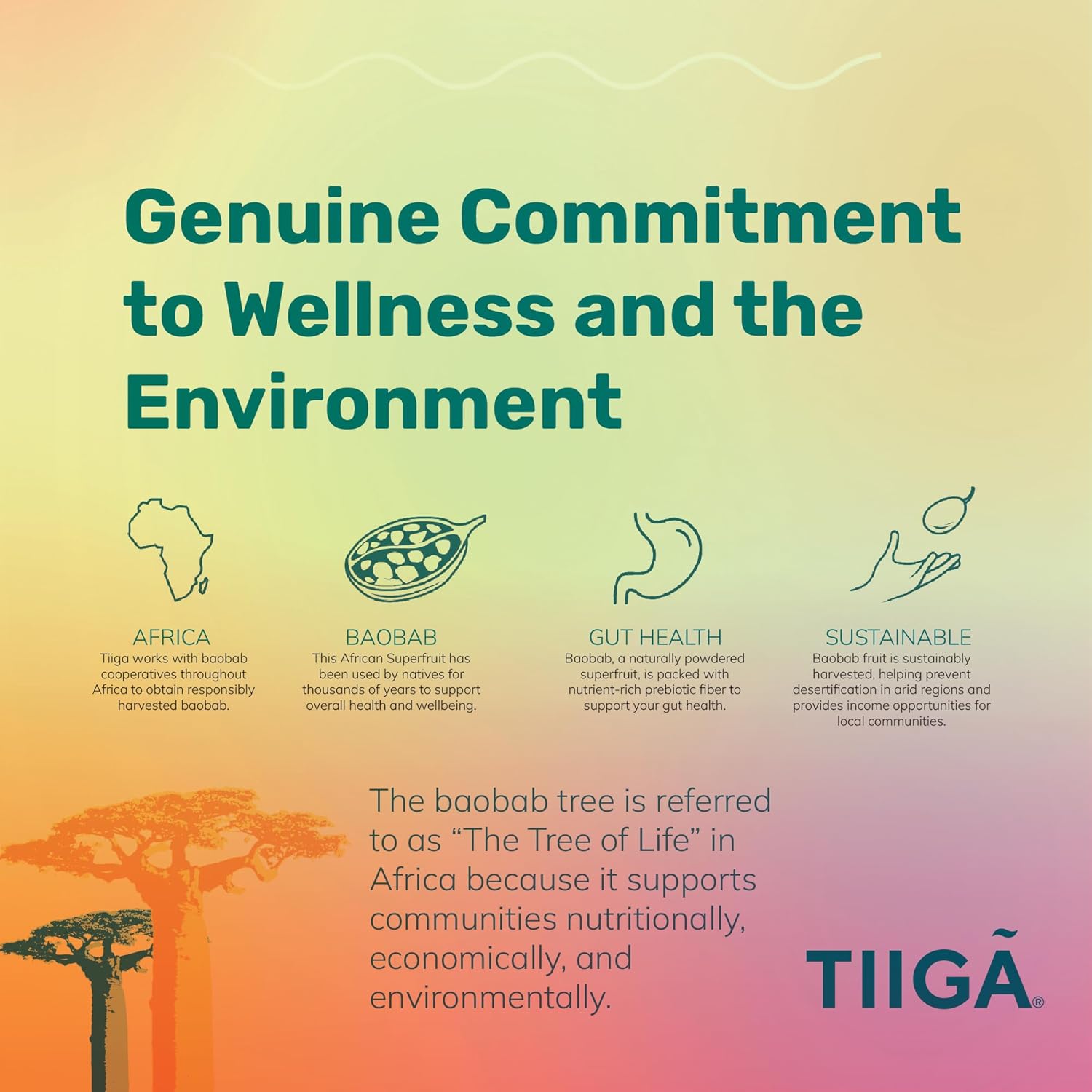 Tiiga Plant-Based Energy Drink with Baobab Superfruit & Prebiotics - Natural Stamina Boost, Vegan & Gluten-Free, Low Sugar Formula for Focus & Gut Health