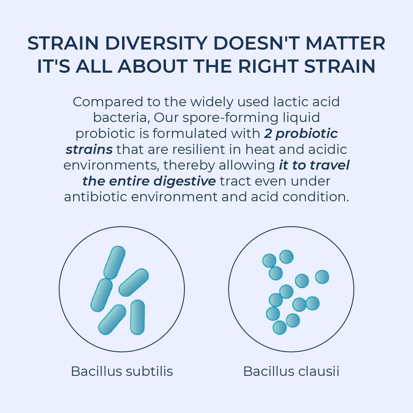 TMA Medispores Rectum Probiotic Liquid: Gut Health Support for Stomach Relief, Bloating, Immune System, Digestive Health - 20 Vials (3 Billion CFUs/Vial) for Adults and Kids