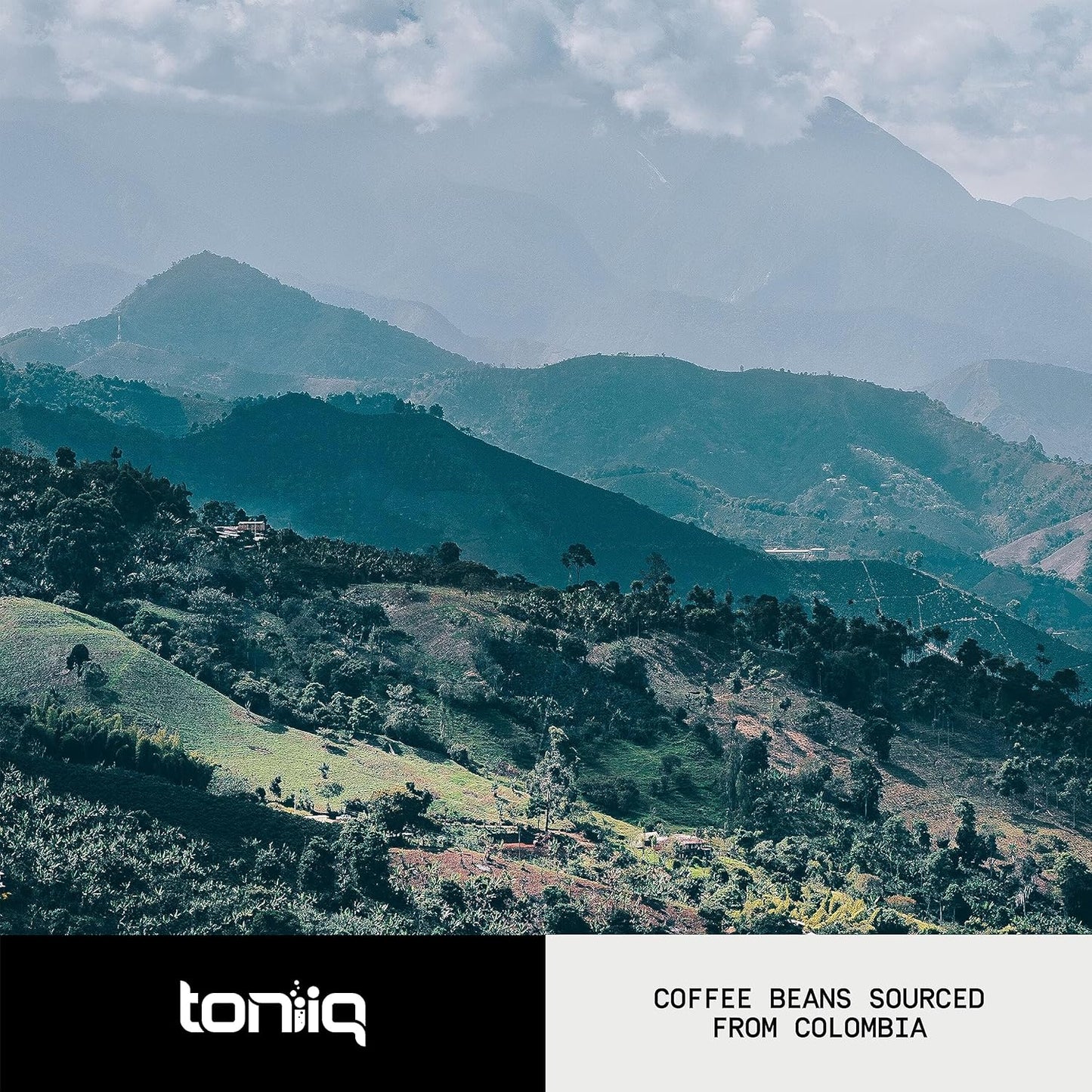 Toniiq Mushroom Coffee - Ultra High Potency 10:1 Concentrated Extract - Colombian Sourced Beans with 10 Mushroom Blend, Lion's Mane & Cordyceps - Rich & Functional Coffee Alternative - Third-Party Lab Tested
