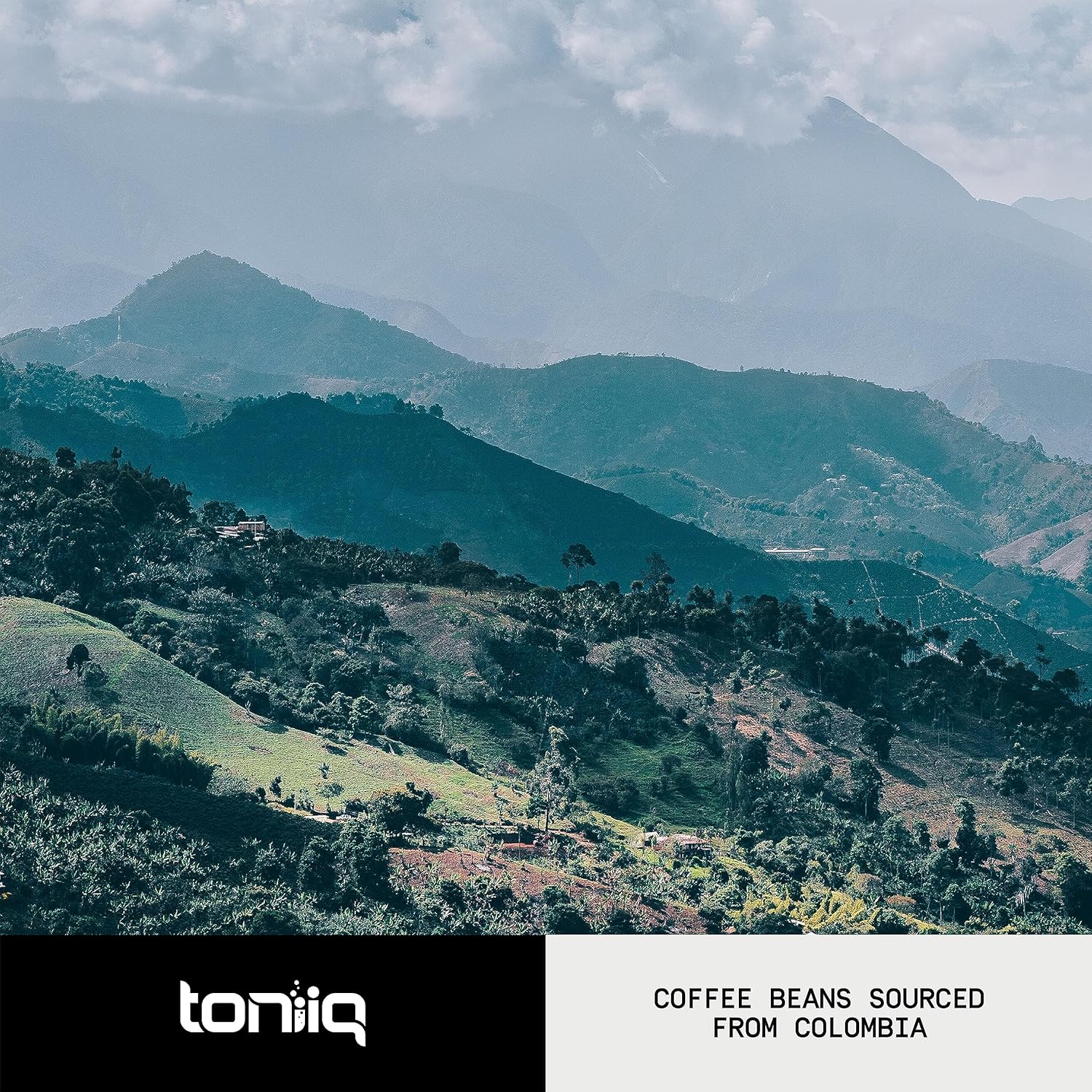 Toniiq Mushroom Coffee - Ultra High Potency 10:1 Concentrated Extract - Colombian Sourced Beans with 10 Mushroom Blend, Lion's Mane & Cordyceps - Rich & Functional Coffee Alternative - Third-Party Lab Tested