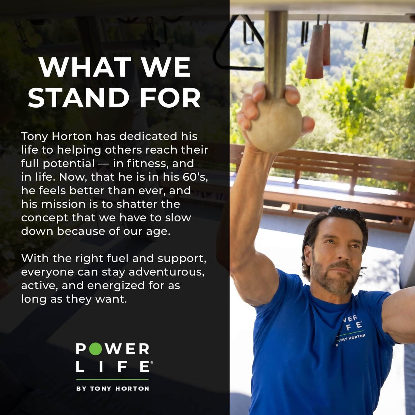 Tony Horton Powerlife Chocolate Plant Protein Powder with 3000 MG HMB & Foundation Four Greens Strawberry Drink