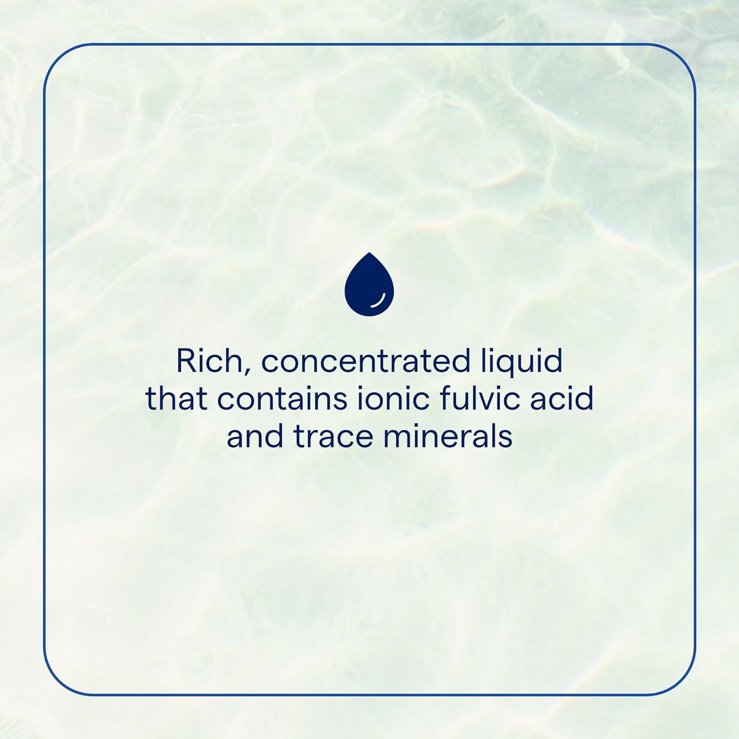 Trace Minerals Research Ionic Fulvic Acid Liquid Supplement - 250mg - Hydration & Energy Support - Muscle Endurance - Healthy Digestion - 2 fl oz