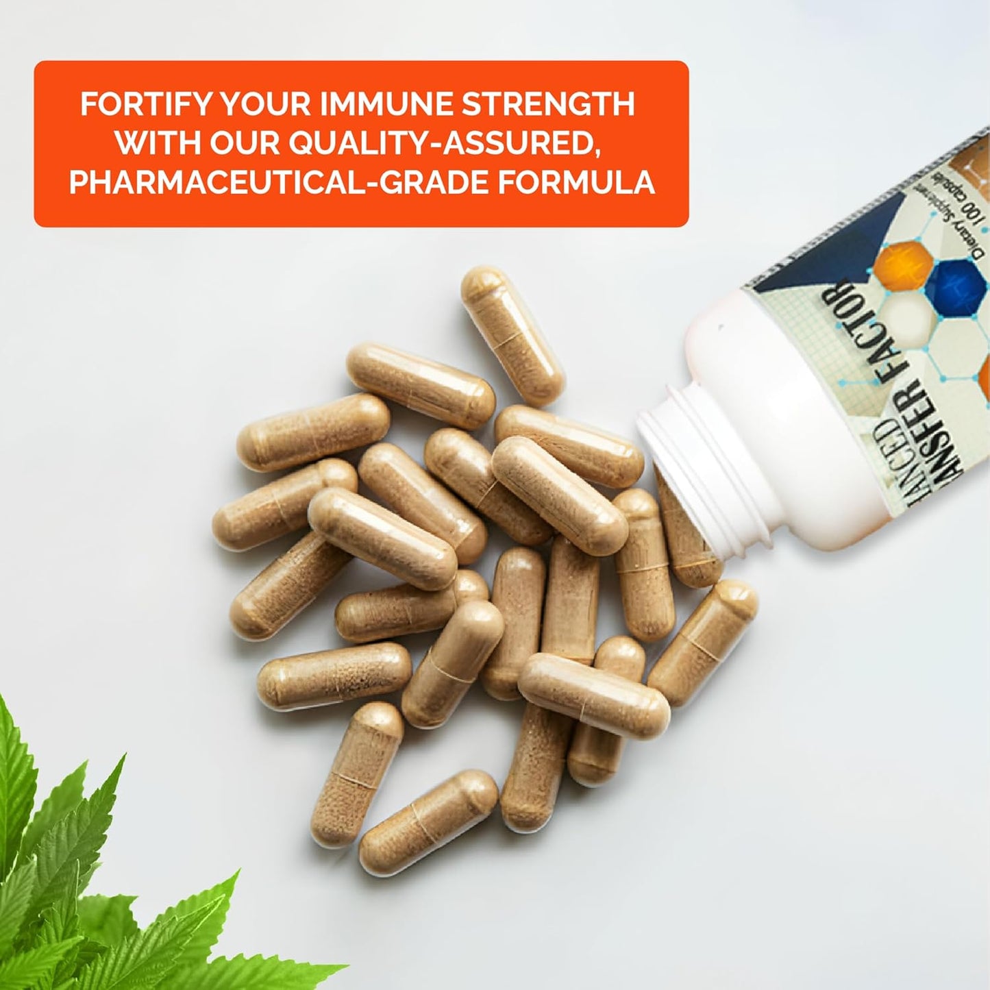Transfer Factor Multi Immune Capsules - Enhanced with Cow Colostrum, Egg Yolk, and Mushroom Blend for Natural Immune Support