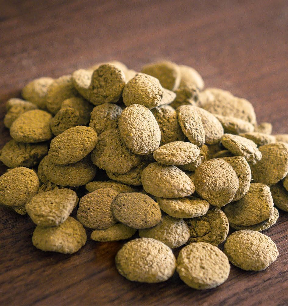 Triple Crown Gut Wafers - Horse Gut Supplement for Leaky Gut Support, 5 lbs