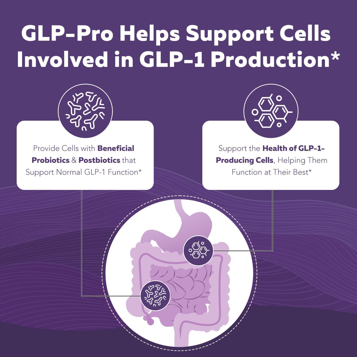 Triquetra Health GLP-Pro: Probiotic for GLP-1 Support with Akkermansia, Spore Forming Probiotics, and Butyrate - 30 Count