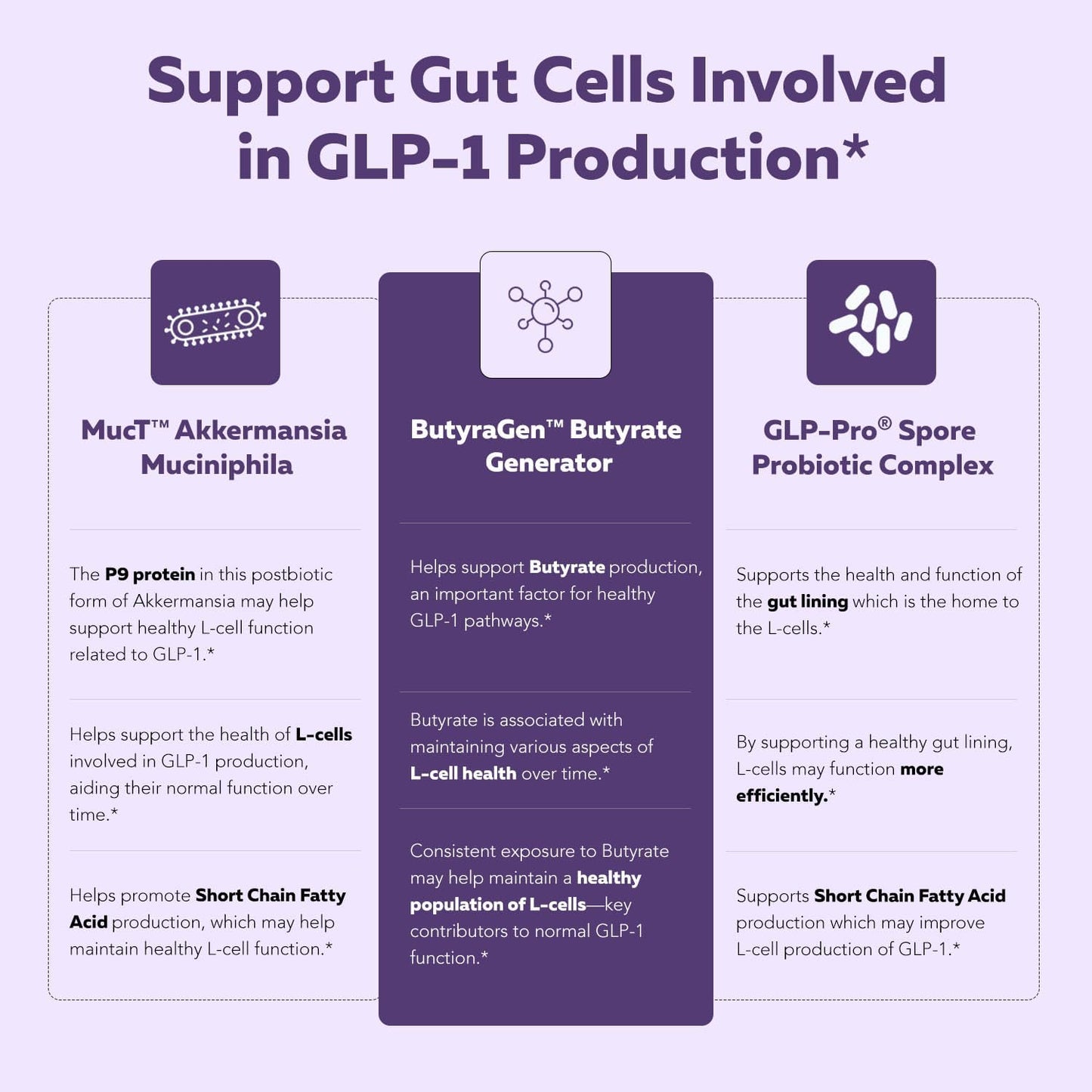Triquetra Health GLP-Pro: Probiotic for GLP-1 Support with Akkermansia, Spore Forming Probiotics, and Butyrate - 30 Count