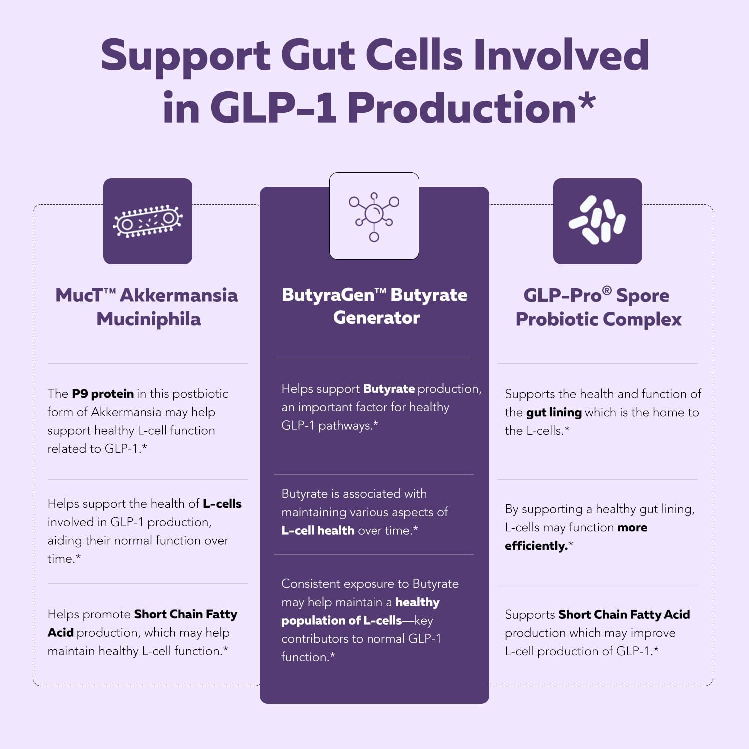 Triquetra Health GLP-Pro: Probiotic for GLP-1 Support with Akkermansia, Spore Forming Probiotics, and Butyrate - 30 Count