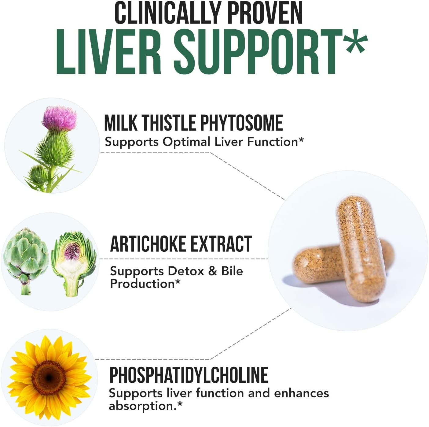 Triquetra Health SoActive® Milk Thistle: Enhanced 10X Phytosome Formula with Silybin A & B, Artichoke Extract, and Bile Enhancer | 60 Servings